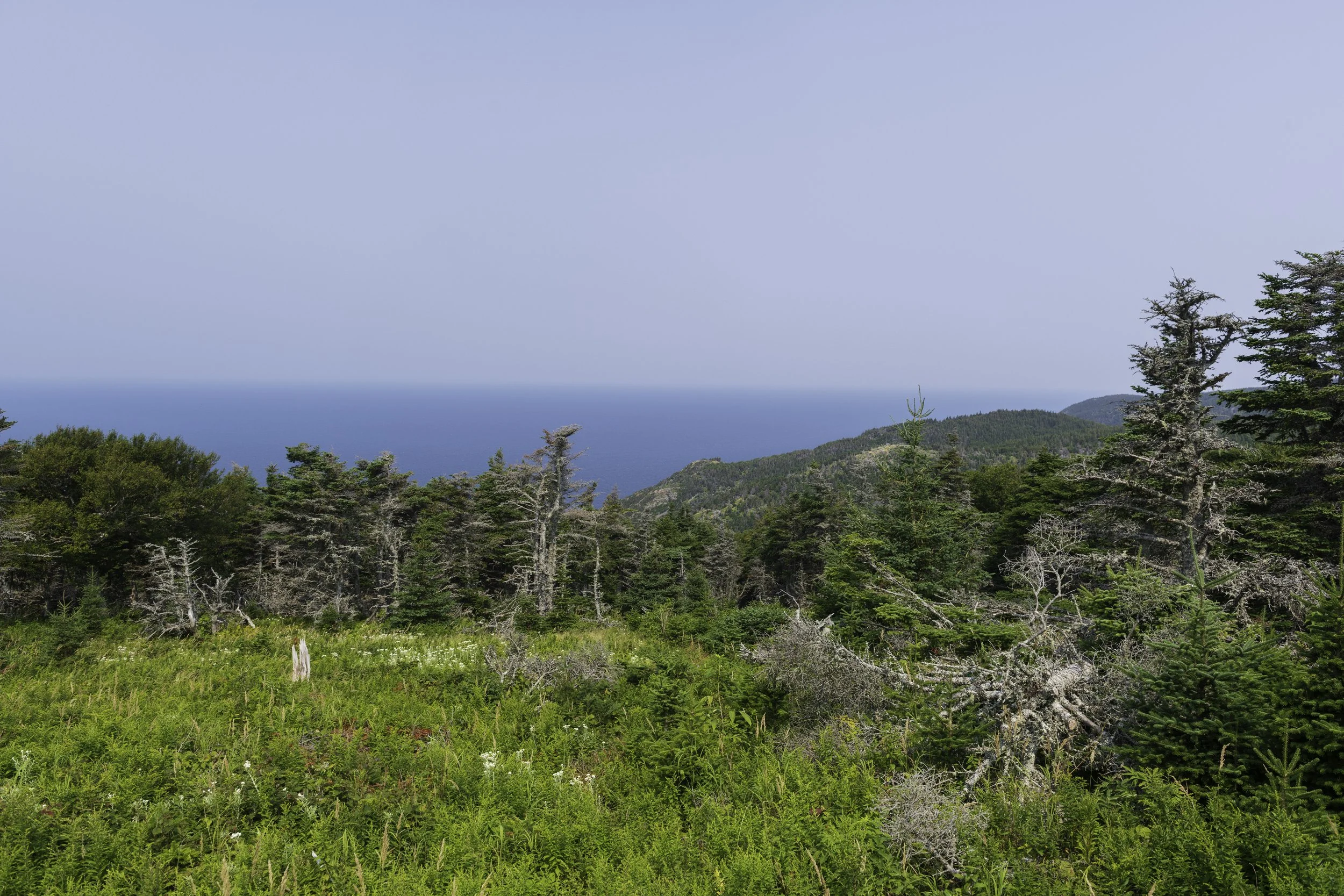 CA-Gaspesie - New Brunswick - Nova scotia 2018 5101.jpg