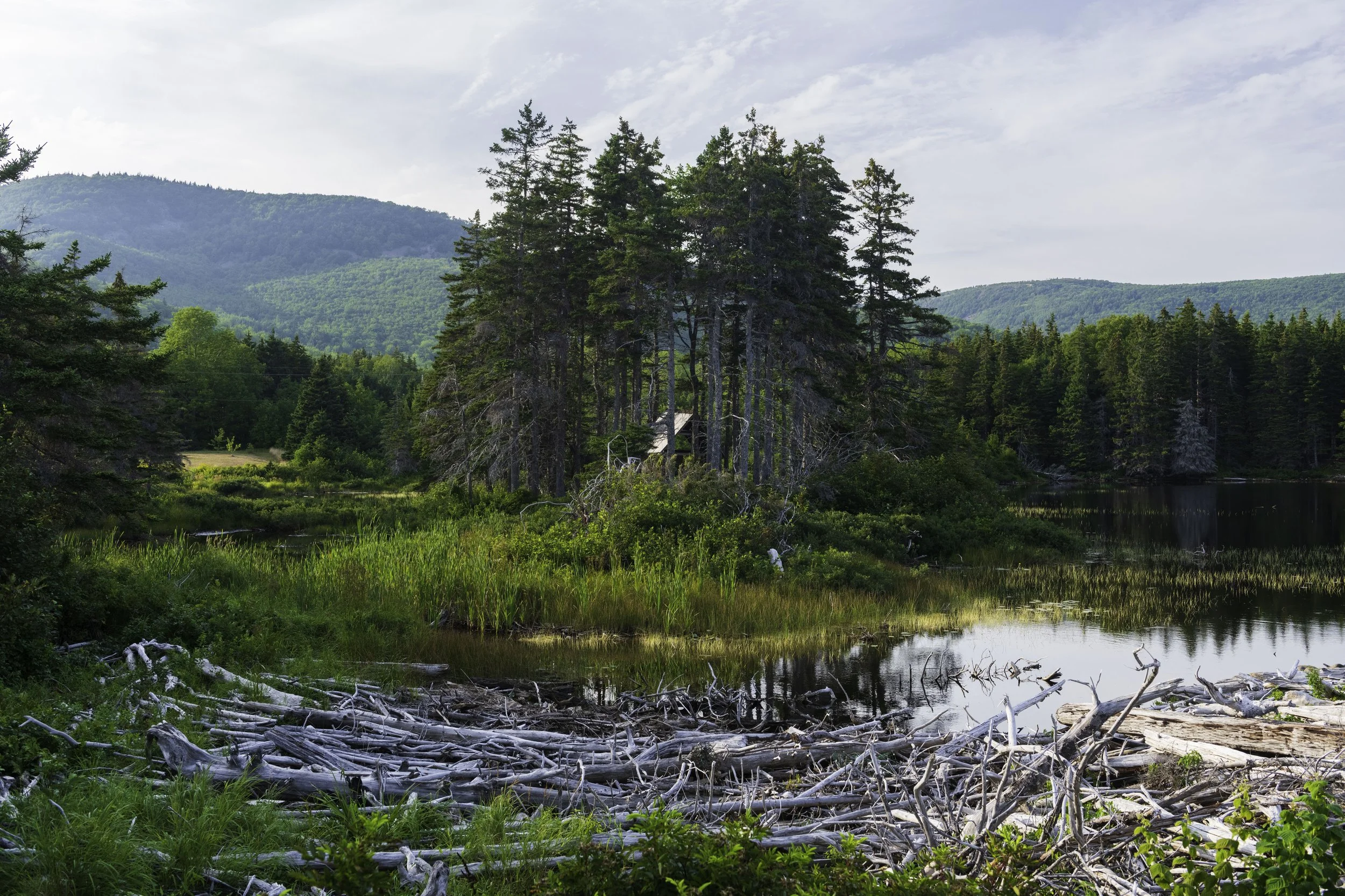 CA-Gaspesie - New Brunswick - Nova scotia 2018 5135.jpg
