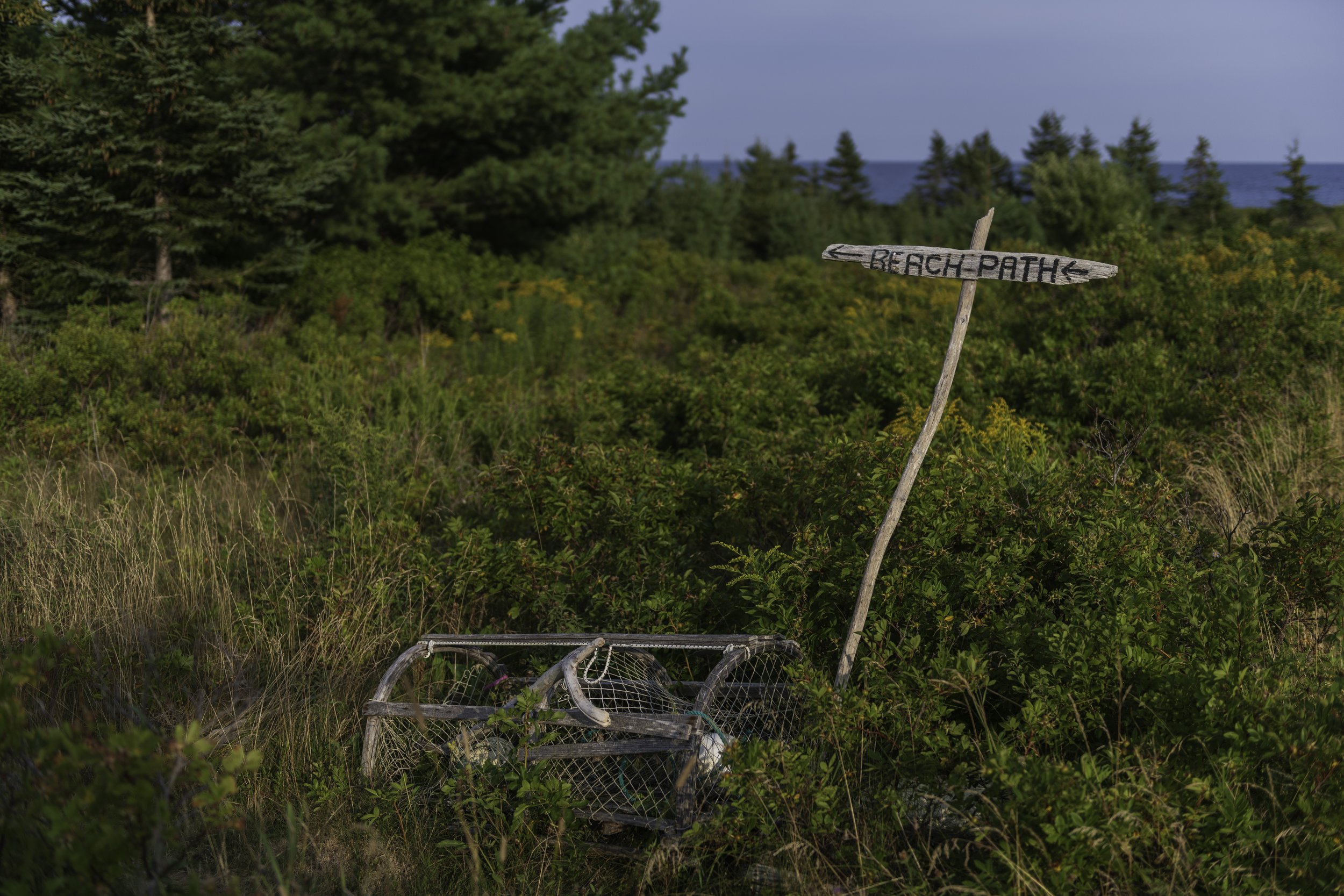 CA-Gaspesie - New Brunswick - Nova scotia 2018 5142.jpg