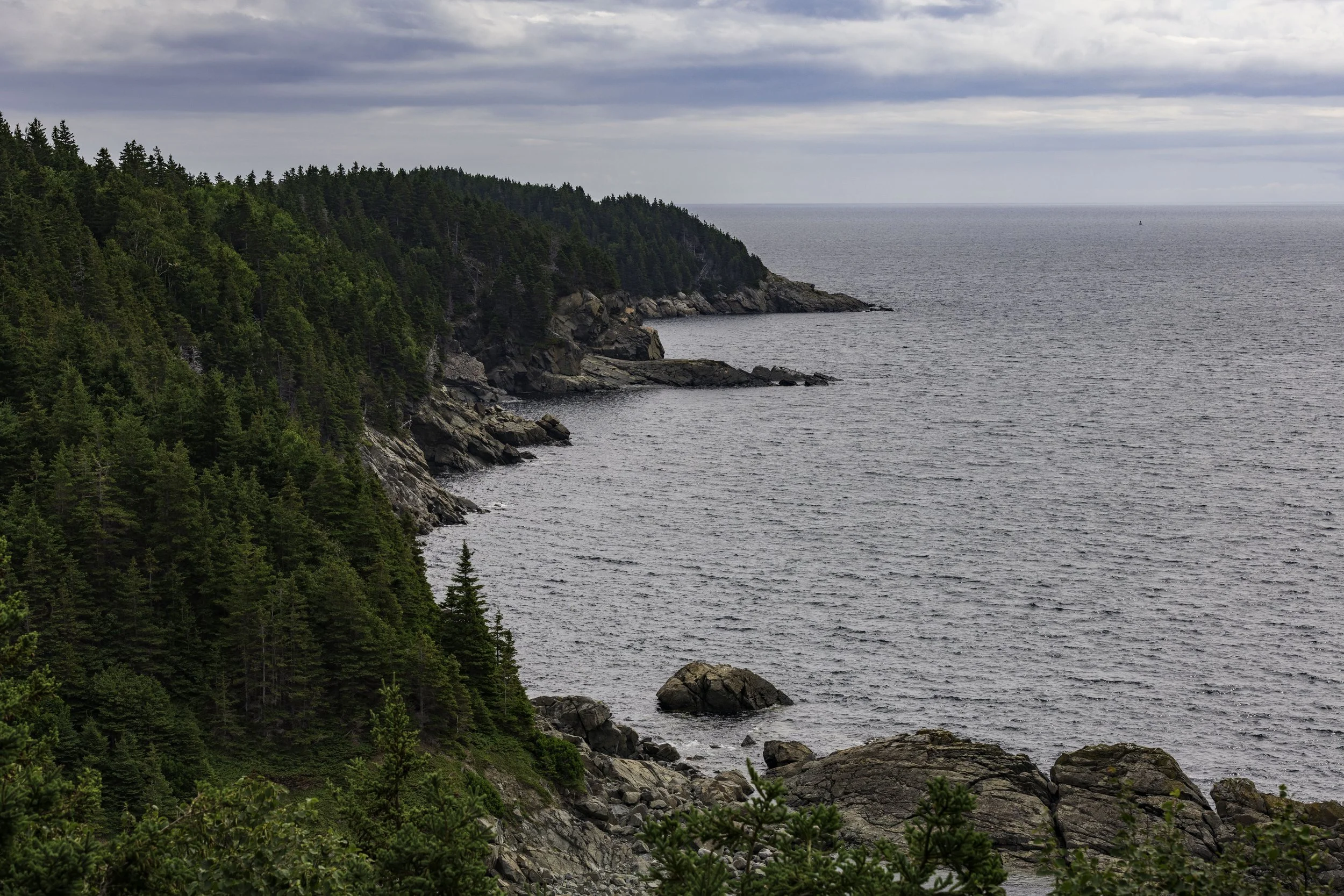 CA-Gaspesie - New Brunswick - Nova scotia 2018 5165.jpg