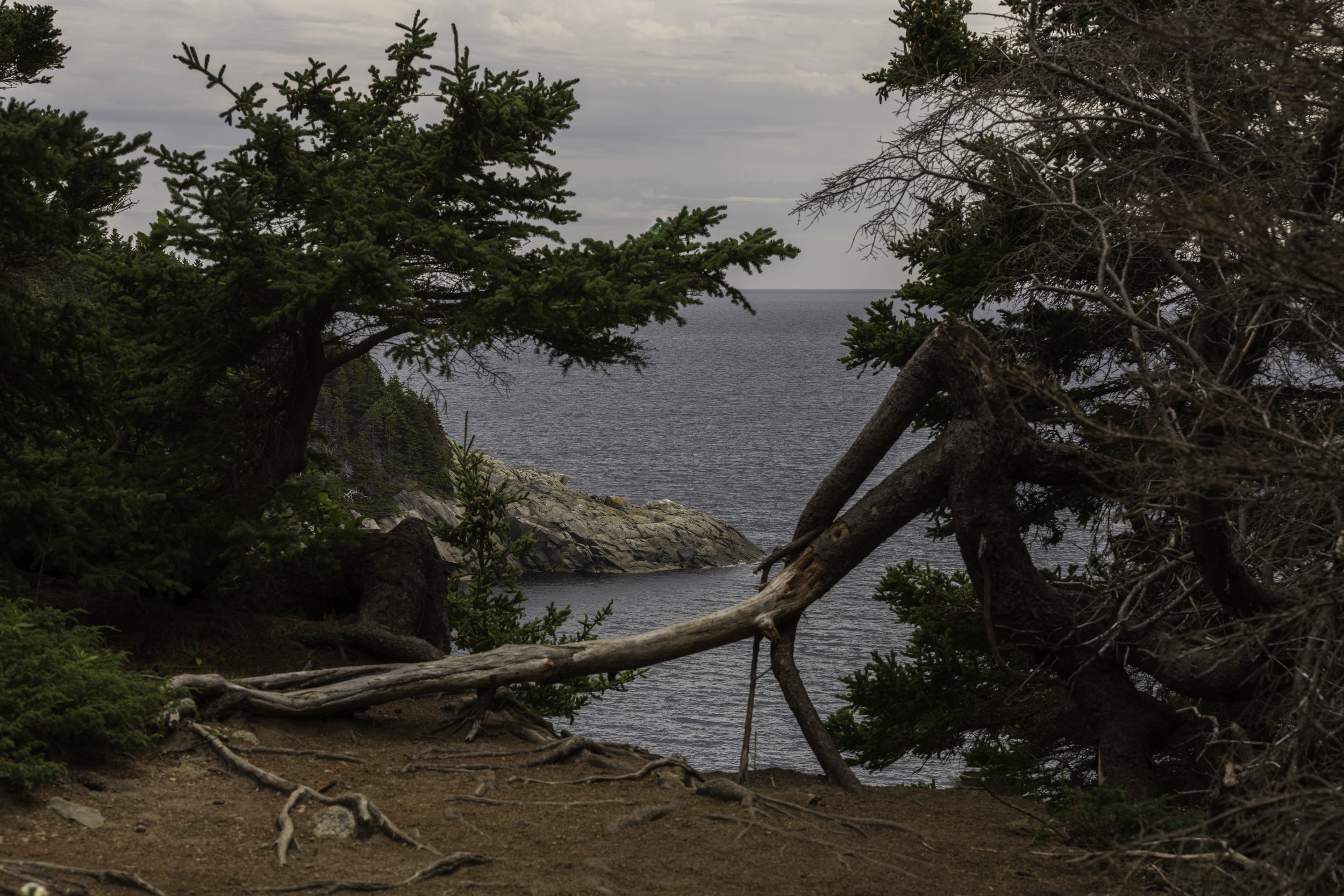 CA-Gaspesie - New Brunswick - Nova scotia 2018 5219.jpg