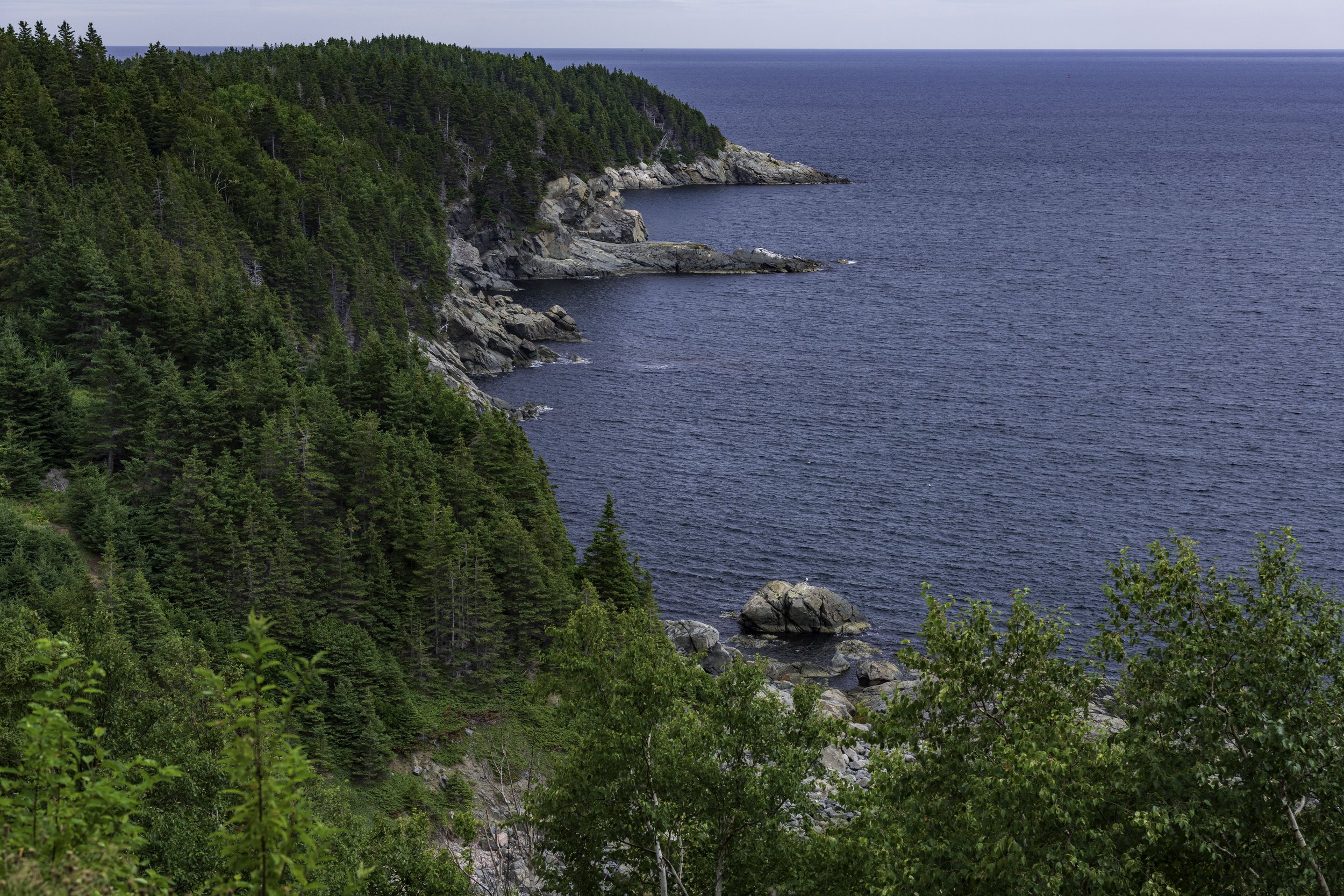 CA-Gaspesie - New Brunswick - Nova scotia 2018 5234.jpg