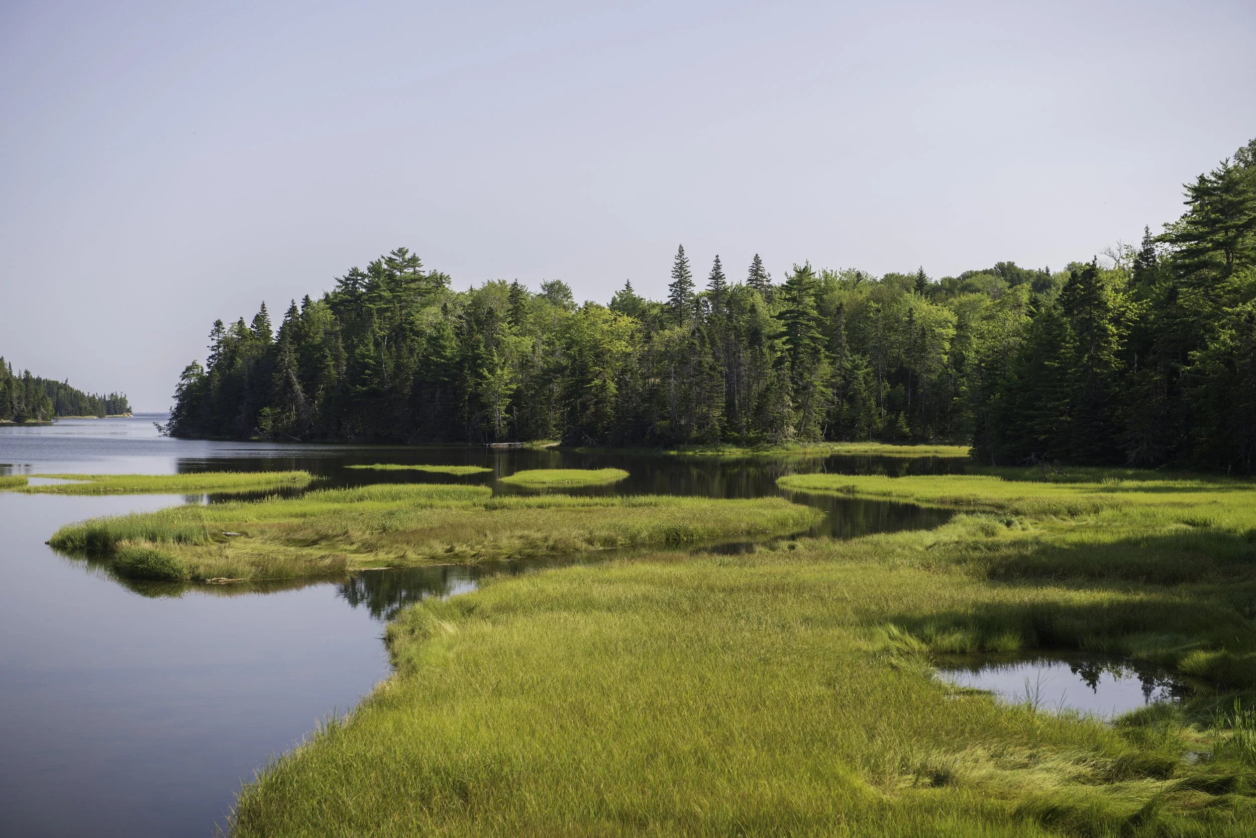 CA-Gaspesie - New Brunswick - Nova scotia 2018 5459.jpg