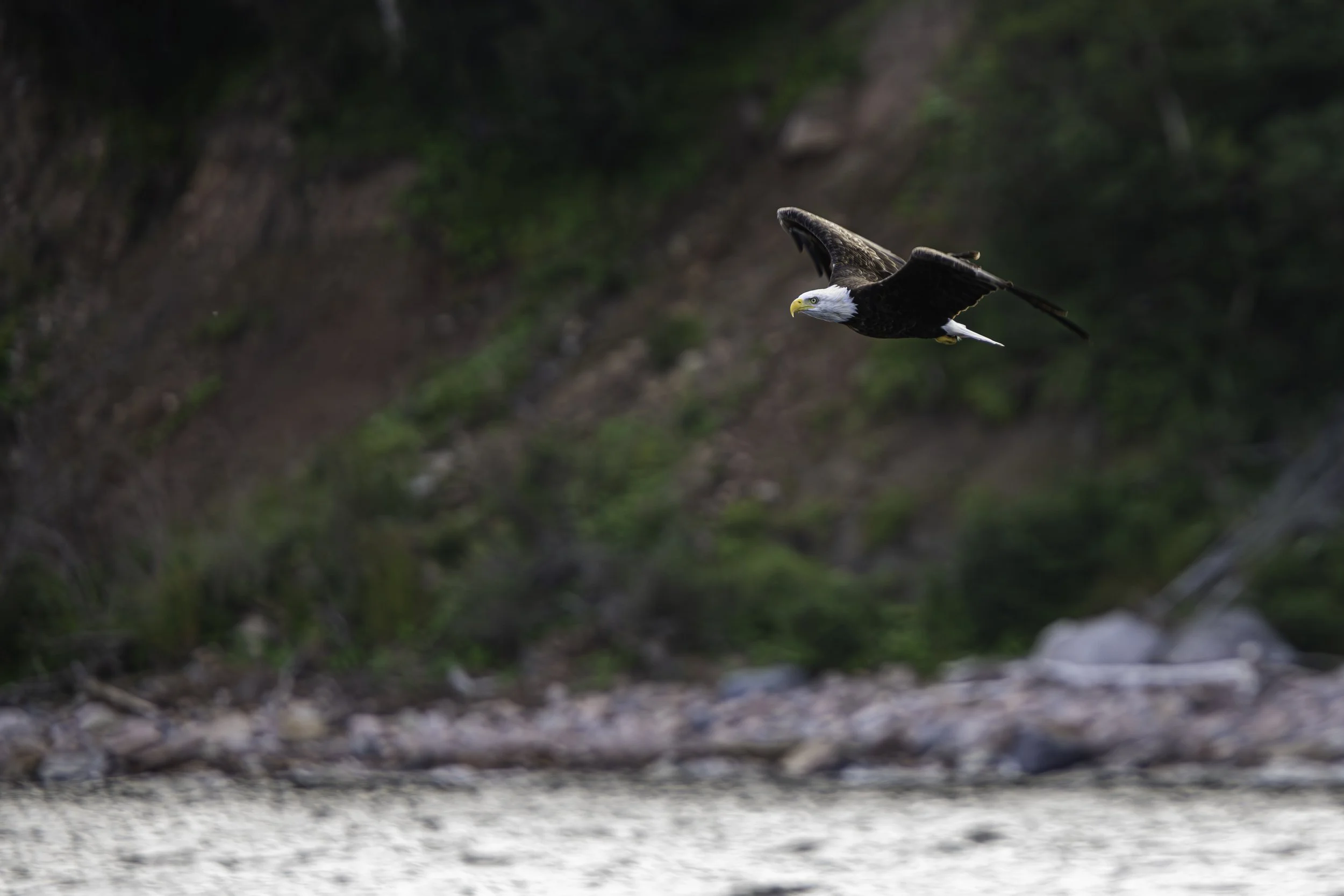 CA-Gaspesie - New Brunswick - Nova scotia 2018 5612.jpg