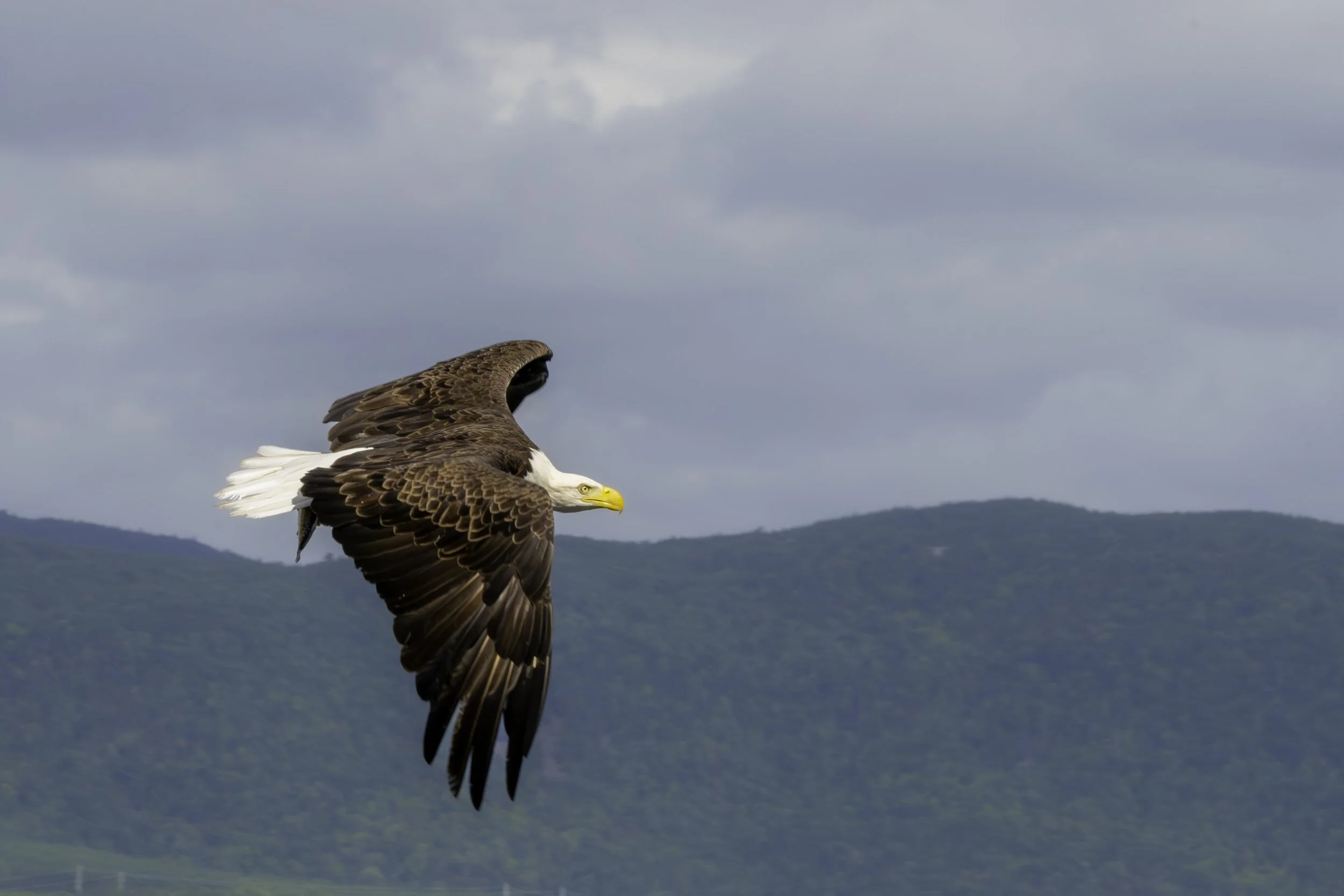 CA-Gaspesie - New Brunswick - Nova scotia 2018 5678.jpg