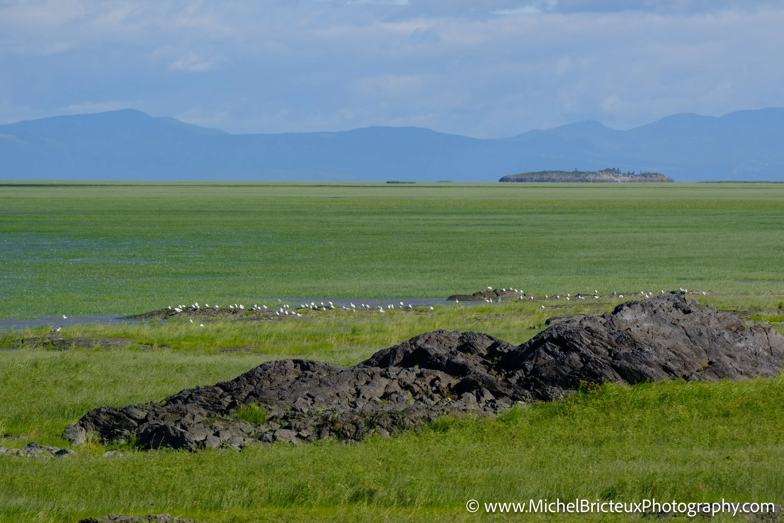 CA-QC - Ile-aux-grues 1055-2 LowRes.jpg