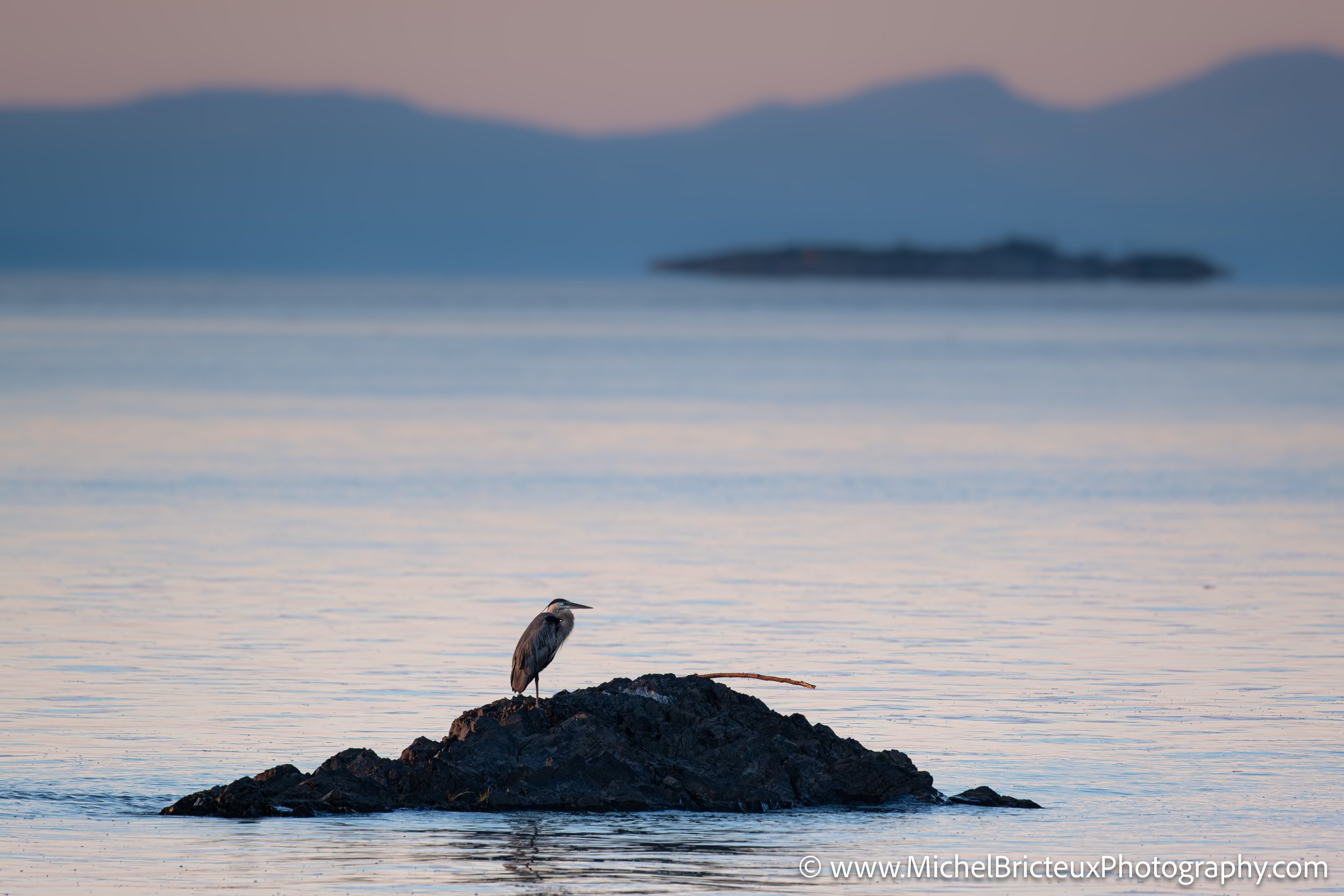 CA-QC - Ile-aux-grues 1215-2 LowRes.jpg