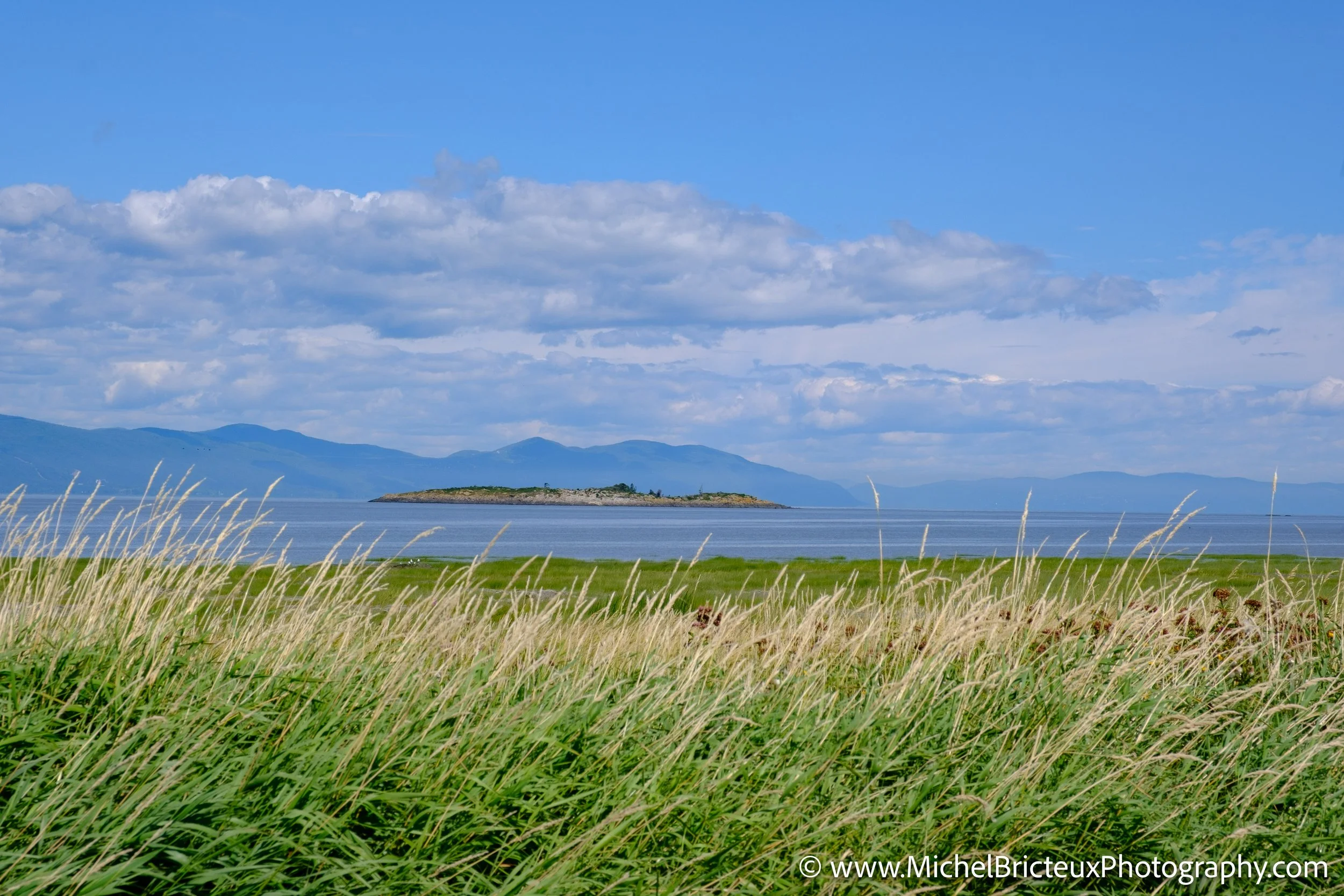 CA-QC - Ile-aux-grues 1251-2 LowRes.jpg