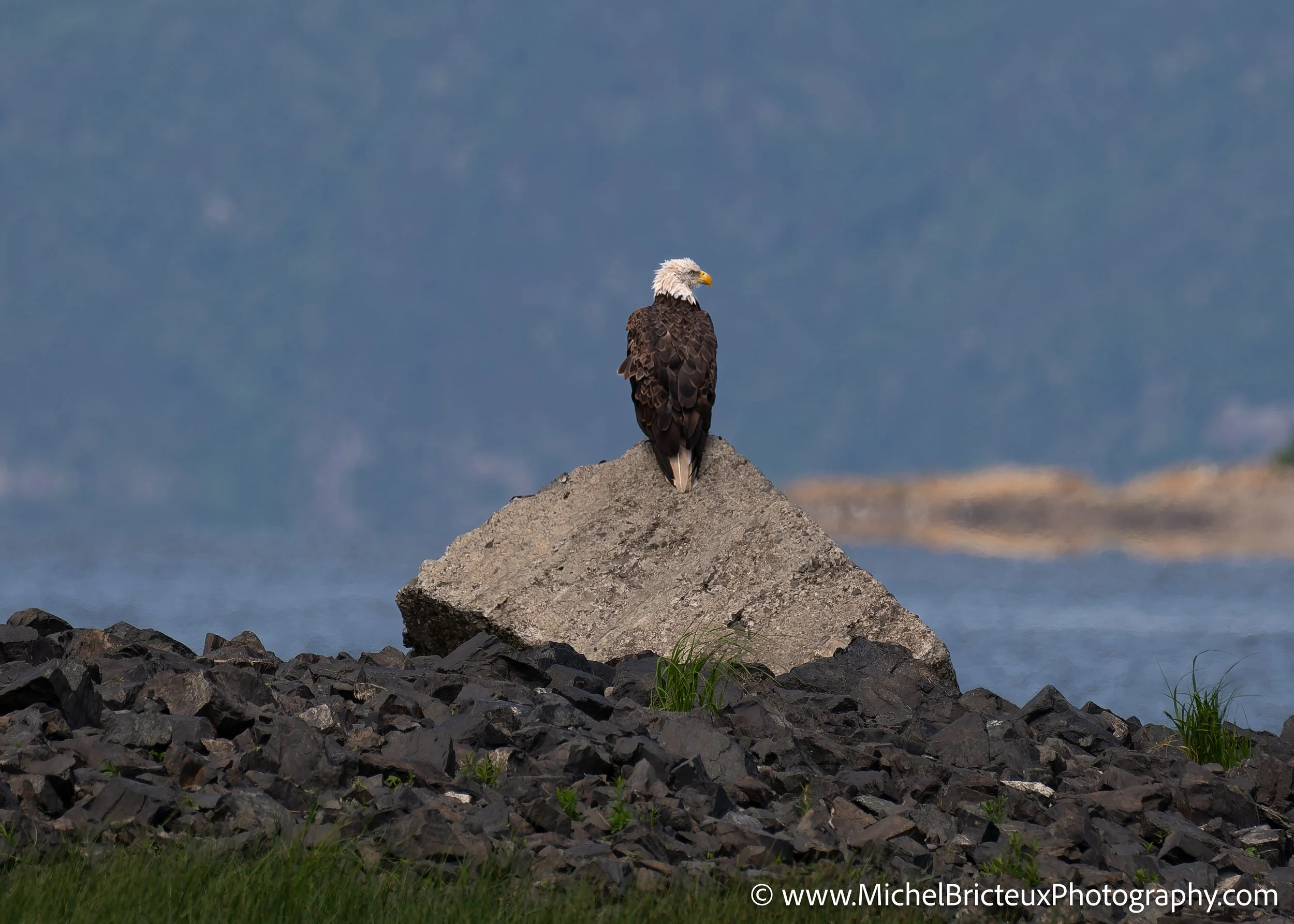 CA-QC - Isle-aux-Grues 2022 9568-DxO_DeepPRIME 3 LowRes.jpg