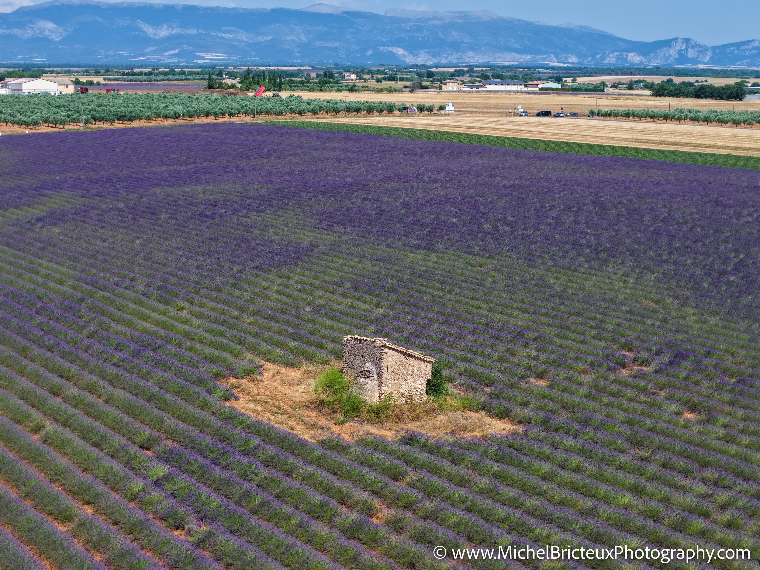 FR-Provence 06-2026 -12 LowRes.jpg