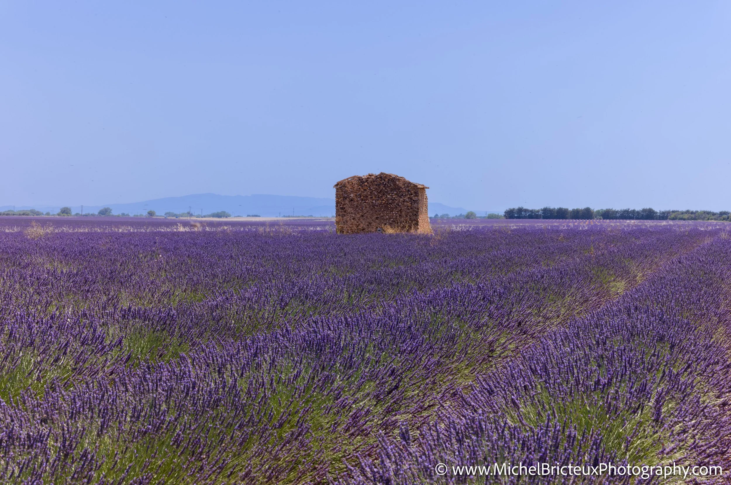 FR-Provence 06-2026 1003686 LowRes.jpg