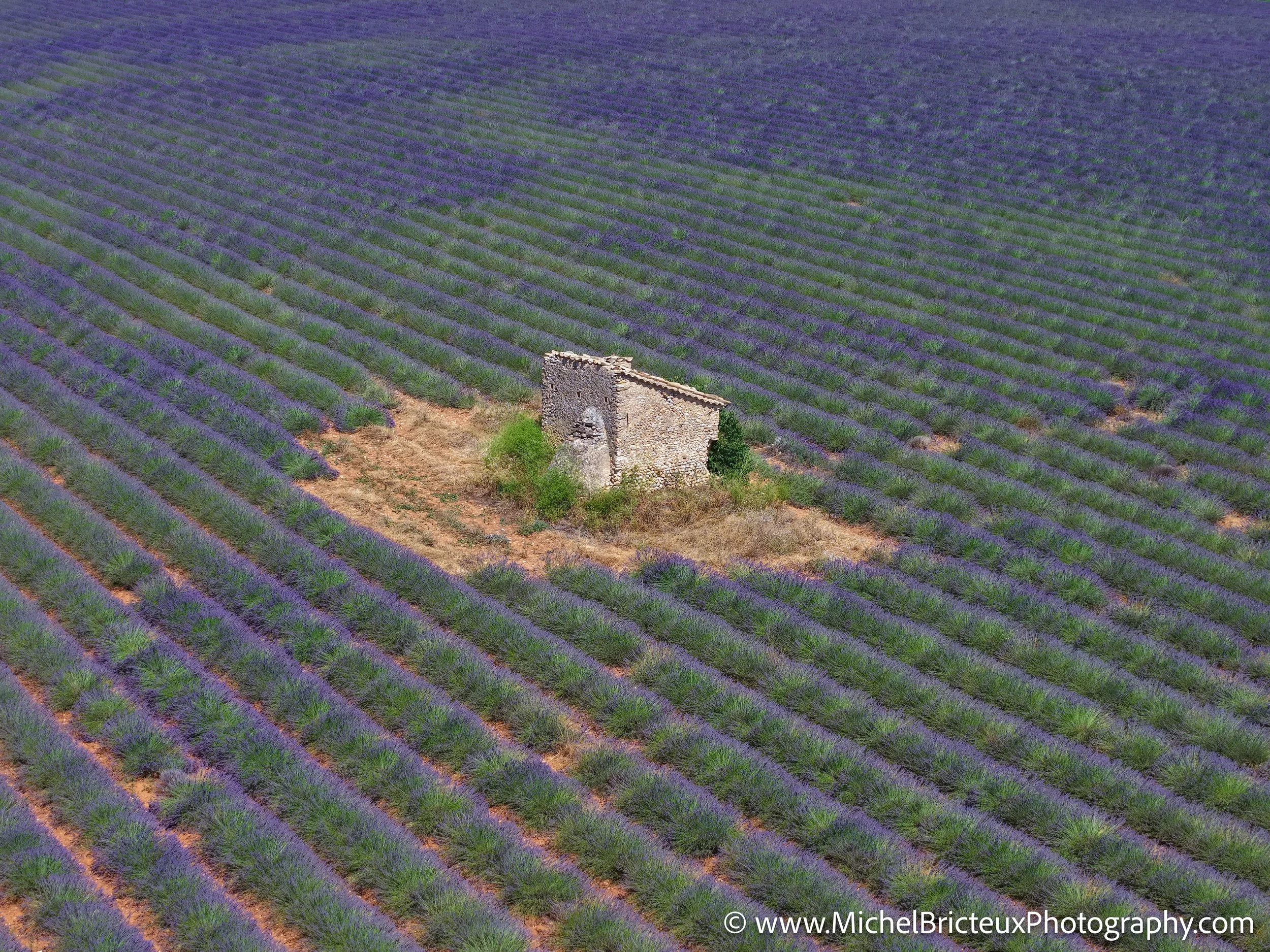 FR-Provence 06-2026 -13 LowRes.jpg