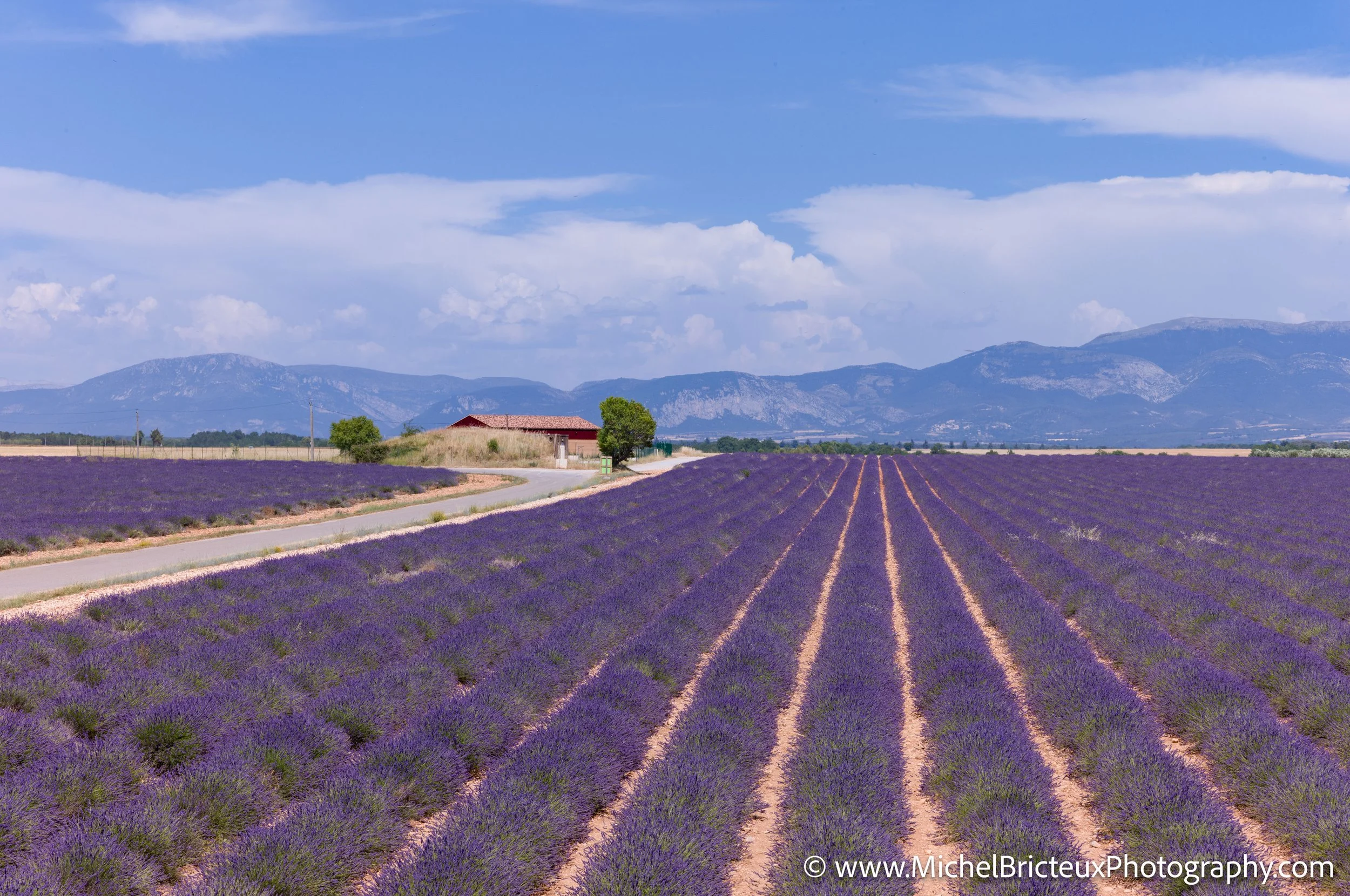 FR-Provence 06-2026 1003675 LowRes.jpg