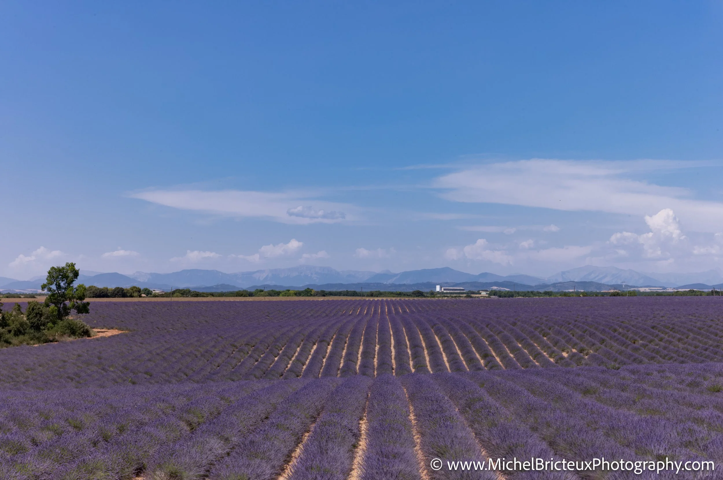 FR-Provence 06-2026 1003681 LowRes.jpg