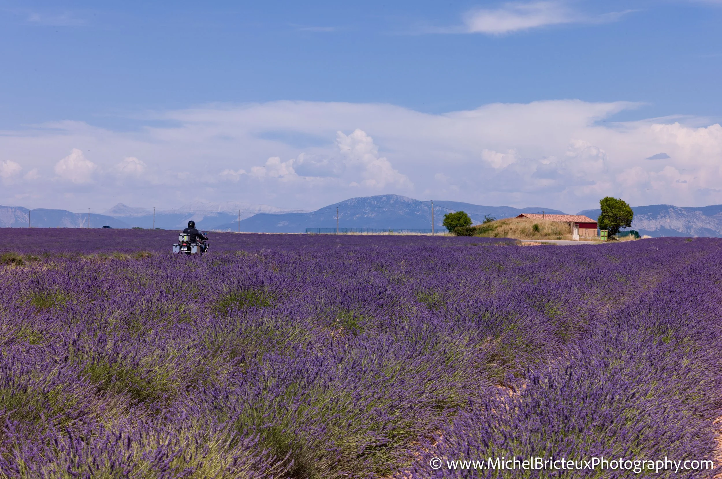 FR-Provence 06-2026 1003664 LowRes.jpg