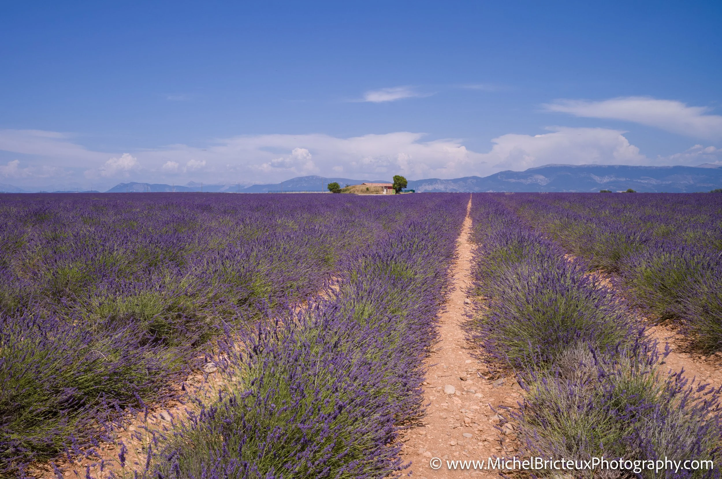 FR-Provence 06-2026 1003657 LowRes.jpg