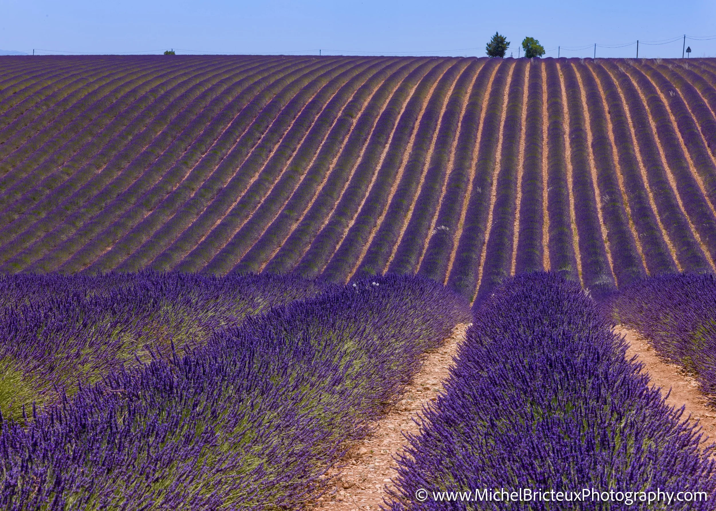 FR-Provence 06-2026 1003640 LowRes.jpg