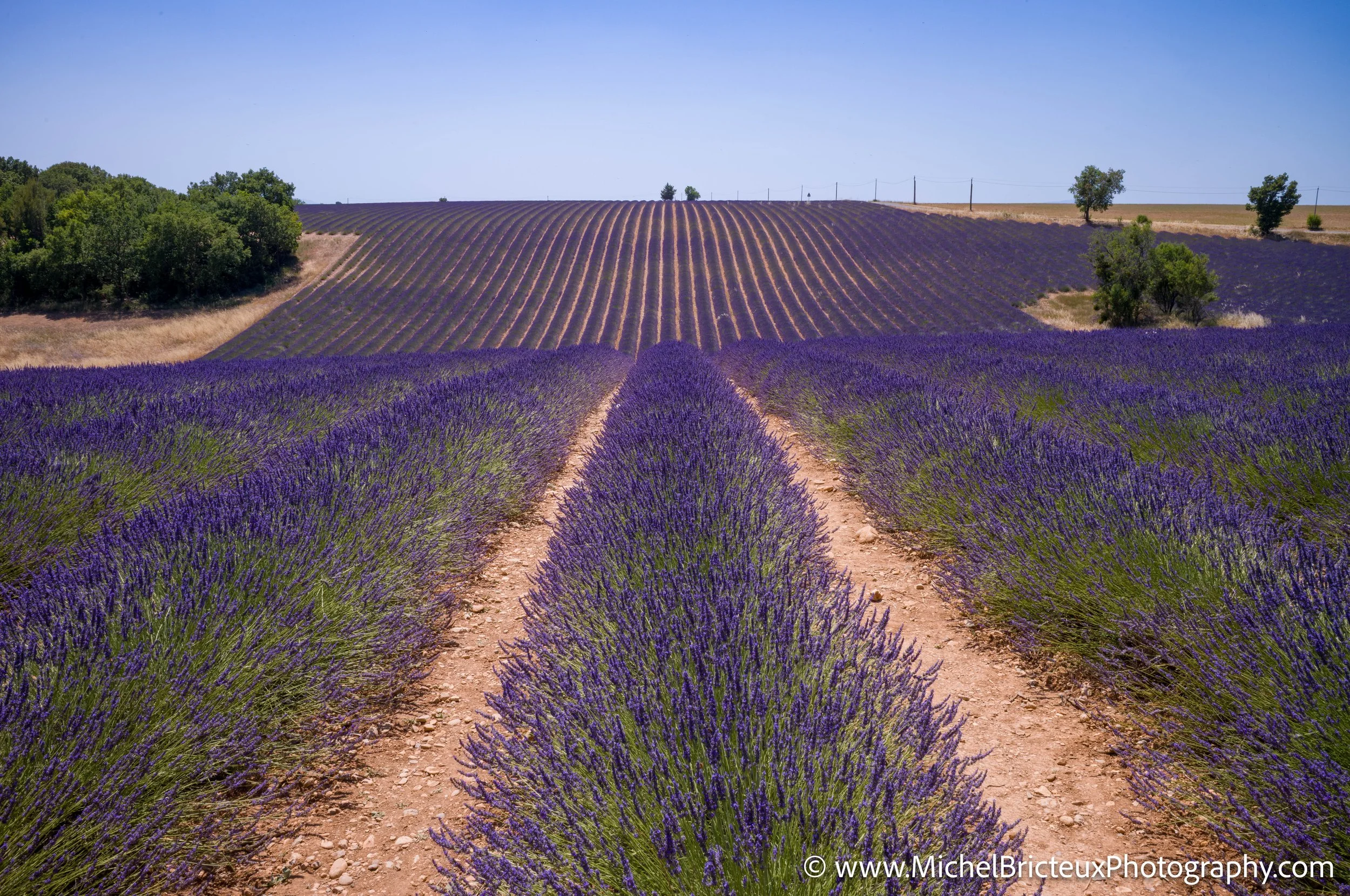 FR-Provence 06-2026 1003647 LowRes.jpg