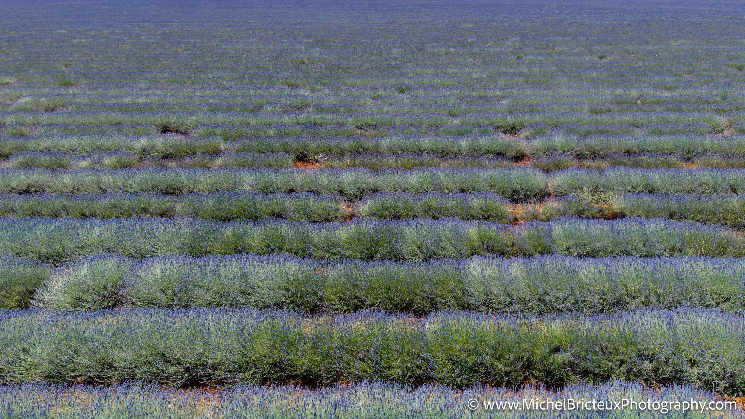 FR-Provence 06-2026 -8 LowRes.jpg