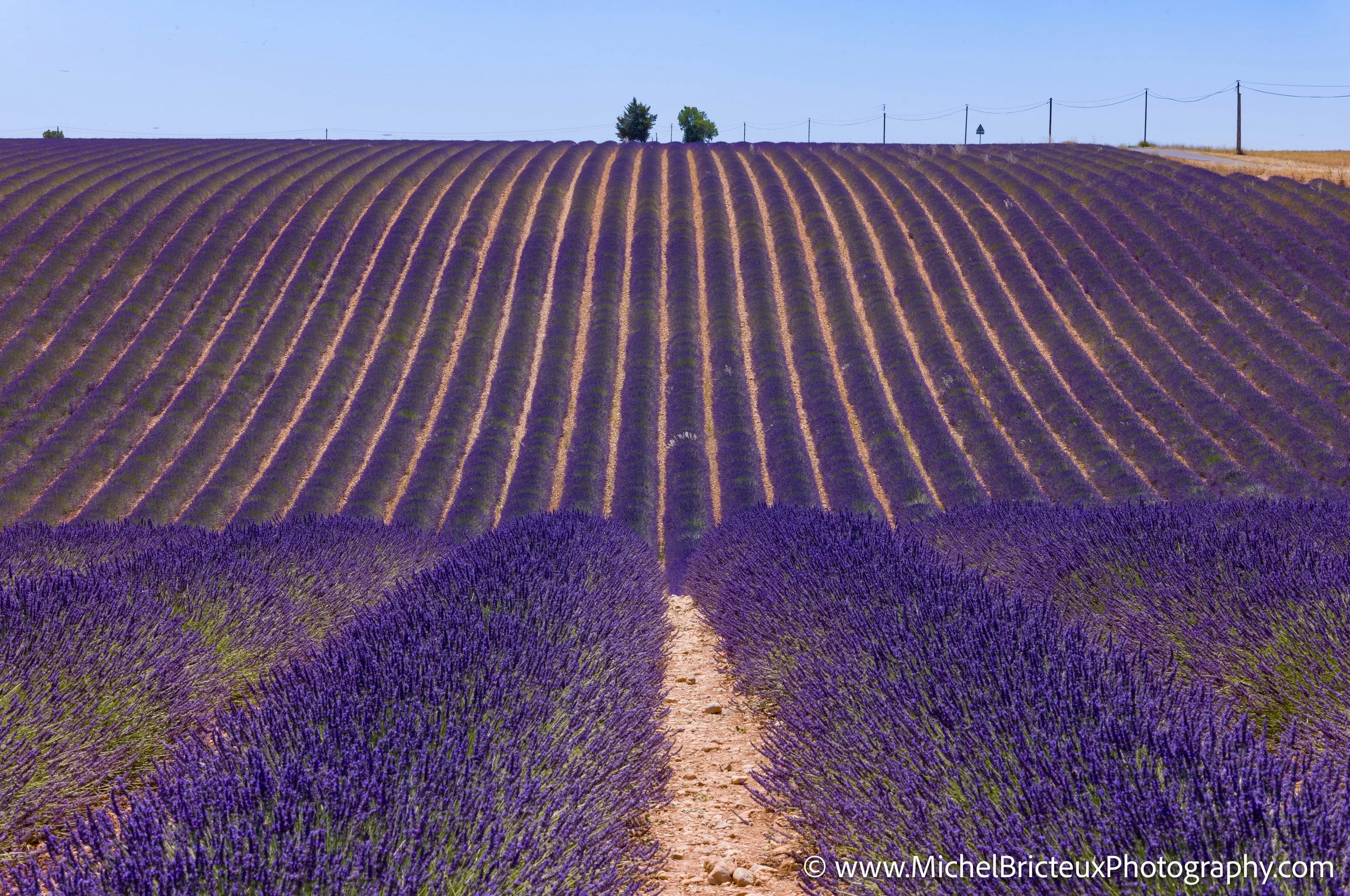 FR-Provence 06-2026 1003632 LowRes.jpg
