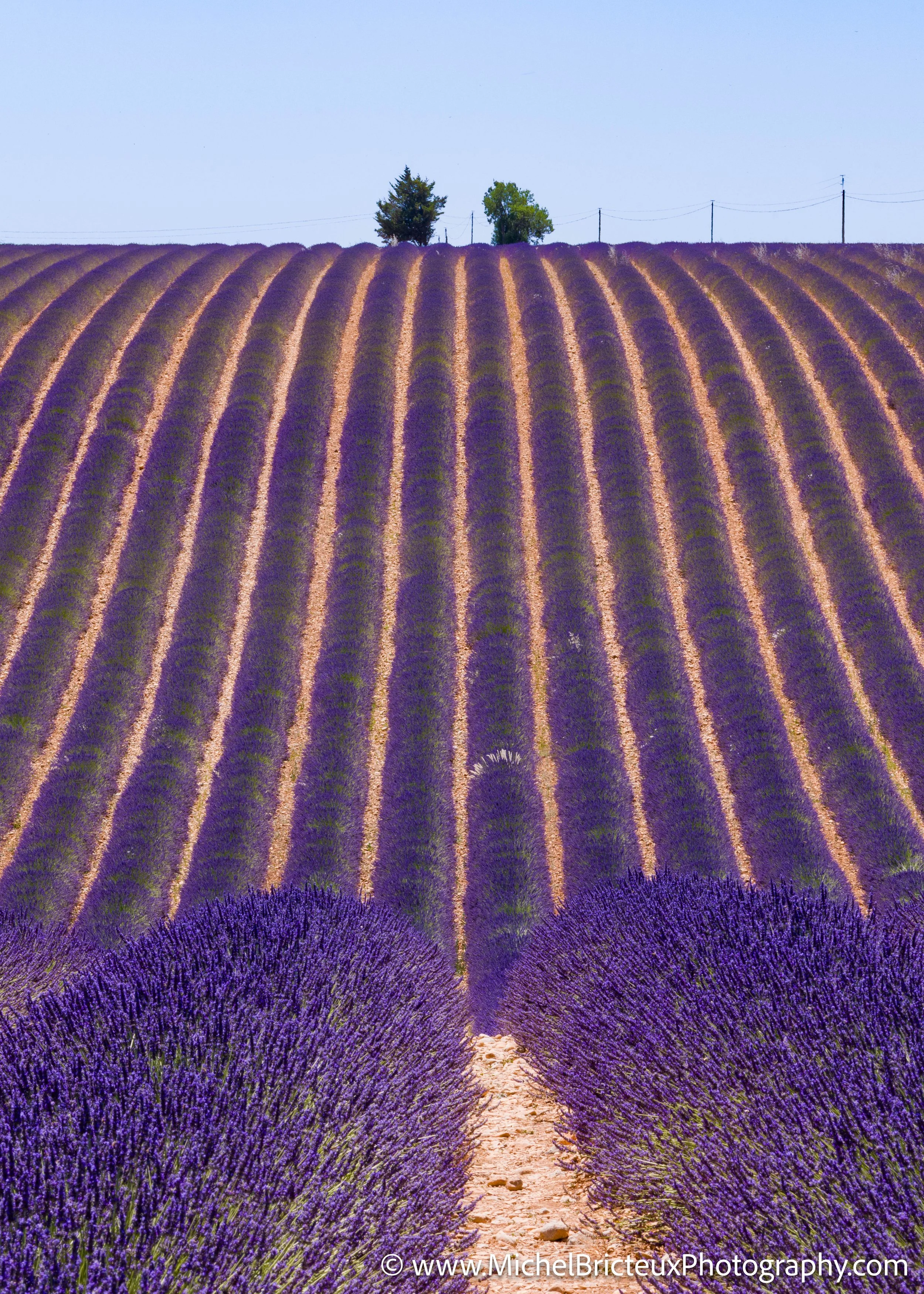FR-Provence 06-2026 1003632 LowRes-2.jpg