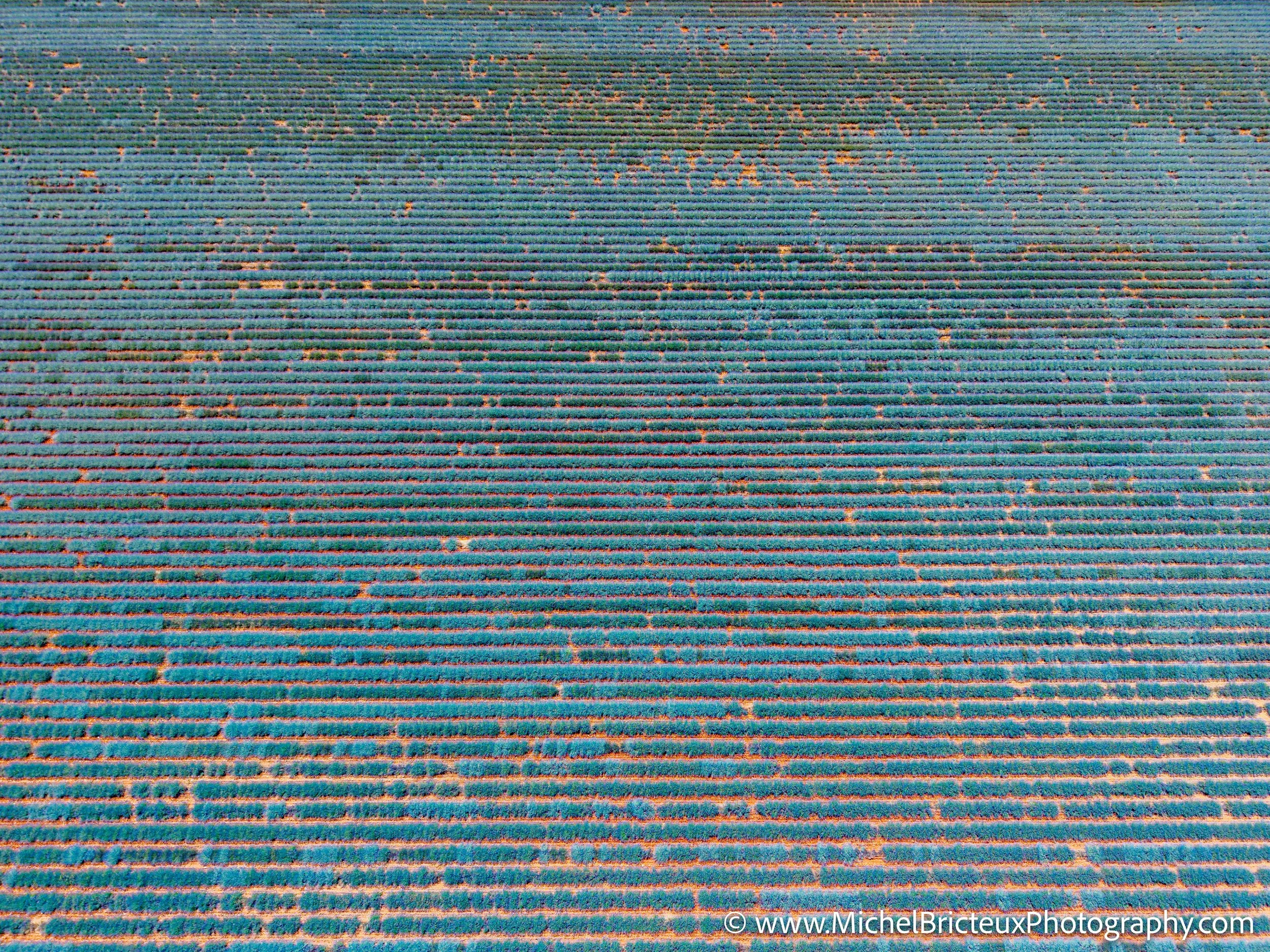 FR-Provence 06-2026 -16 LowRes.jpg
