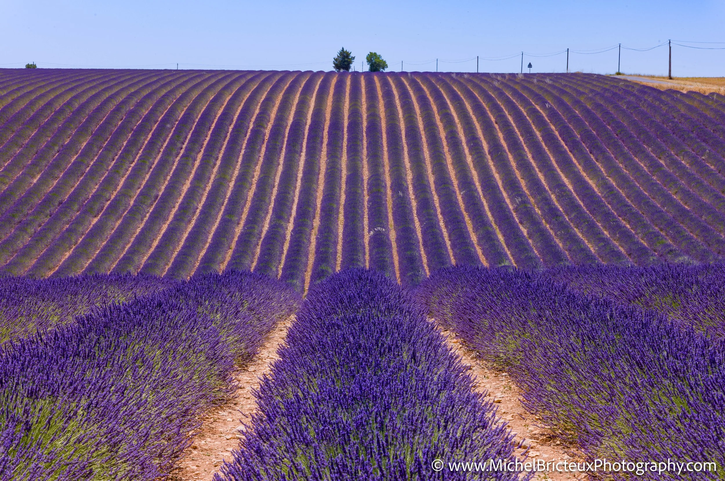 FR-Provence 06-2026 1003636 LowRes.jpg