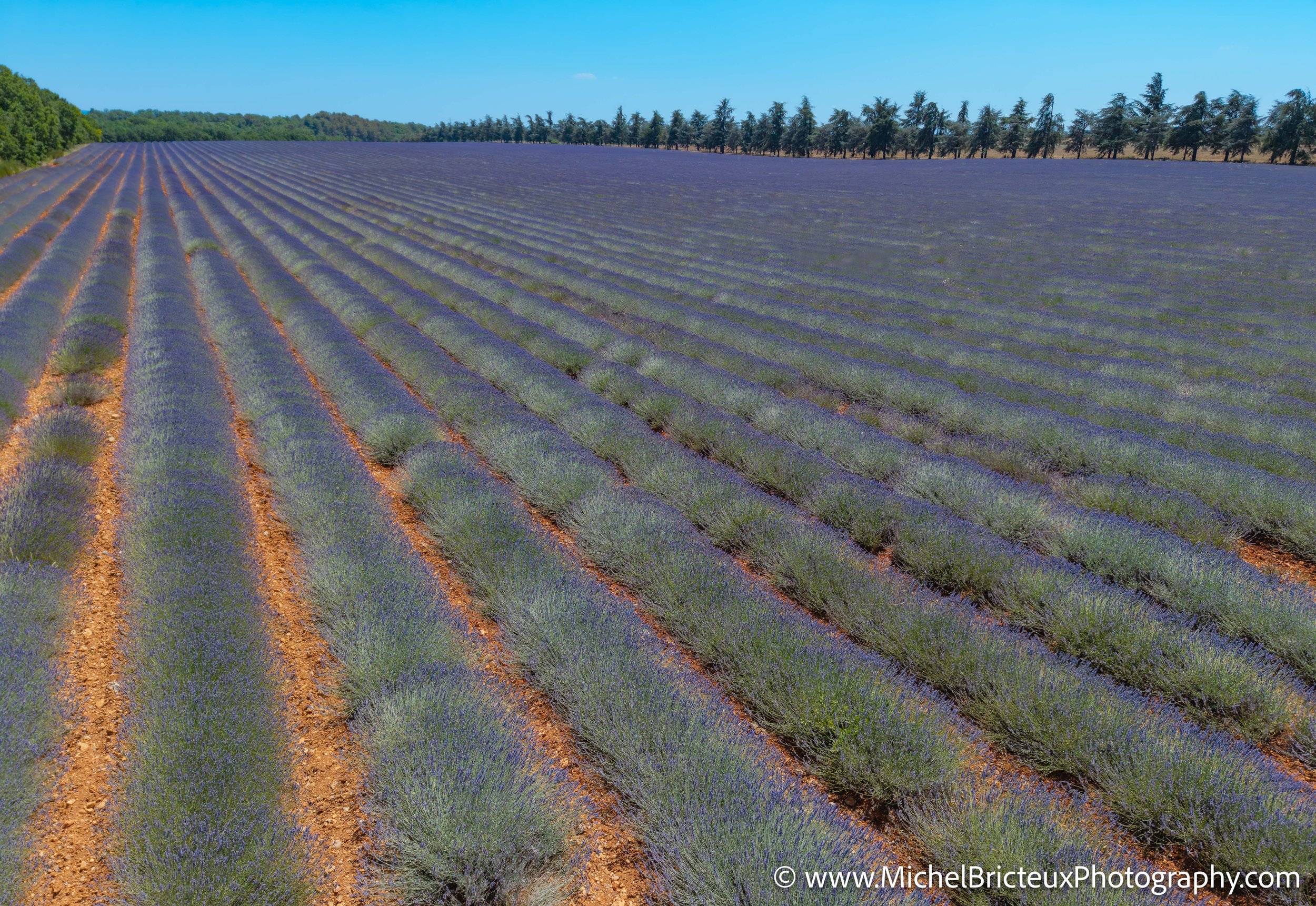 FR-Provence 06-2026 -15 LowRes.jpg