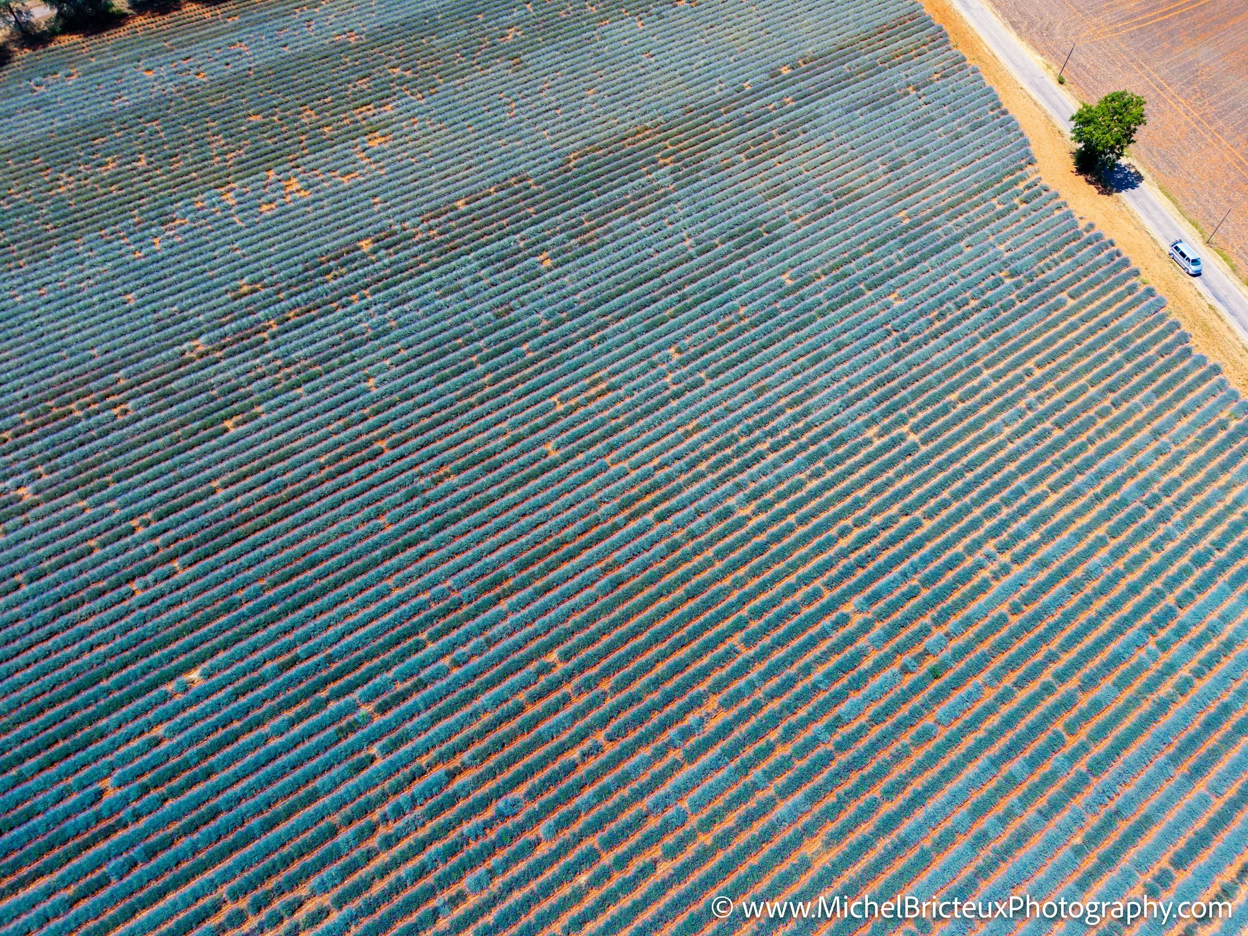 FR-Provence 06-2026 -6 LowRes.jpg