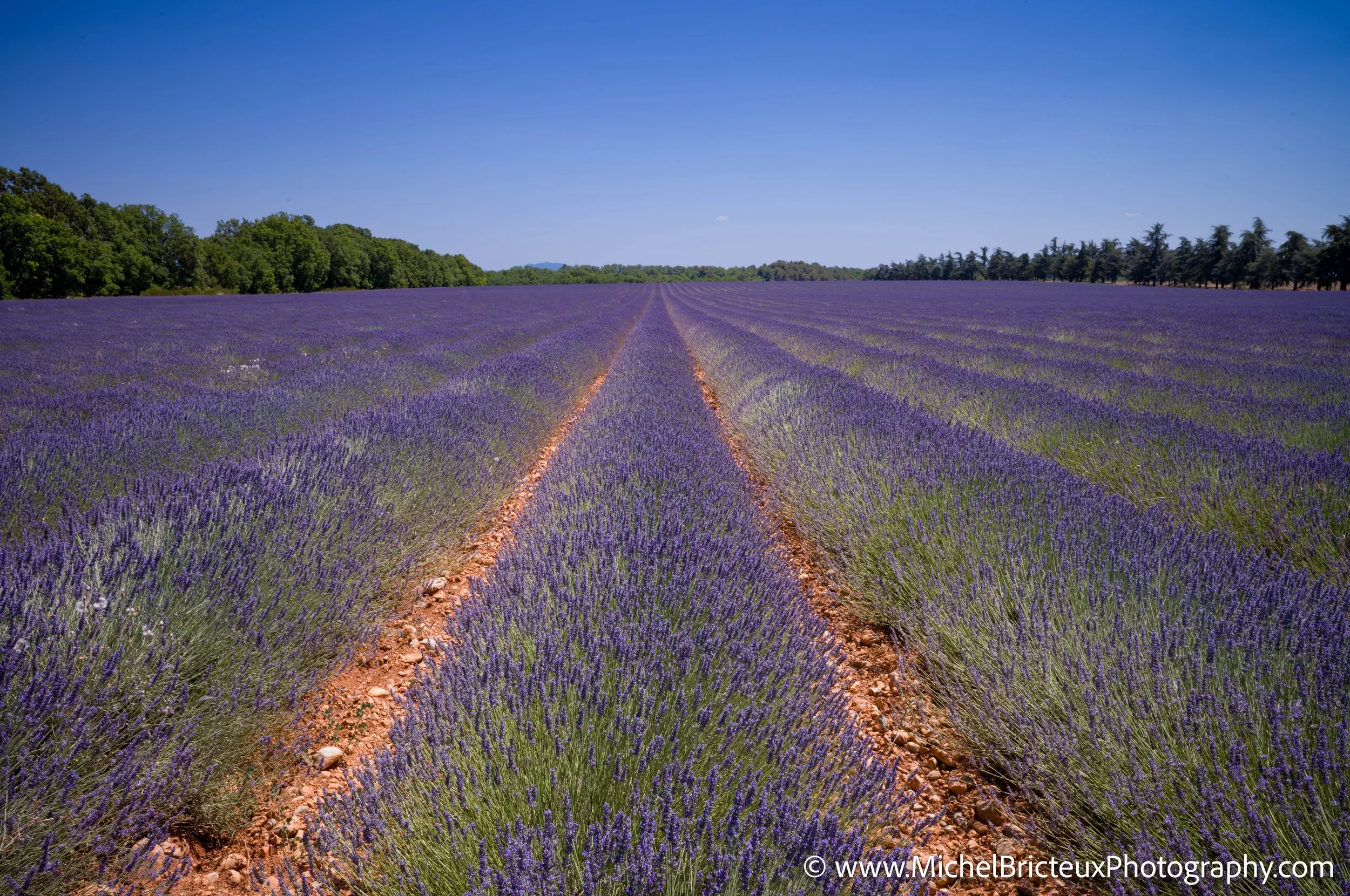 FR-Provence 06-2026 1003592 LowRes.jpg