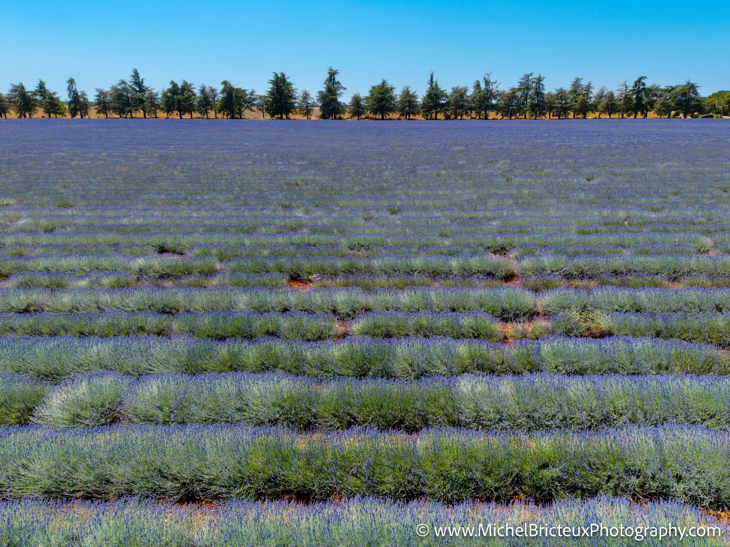 FR-Provence 06-2026 -8 LowRes.jpg