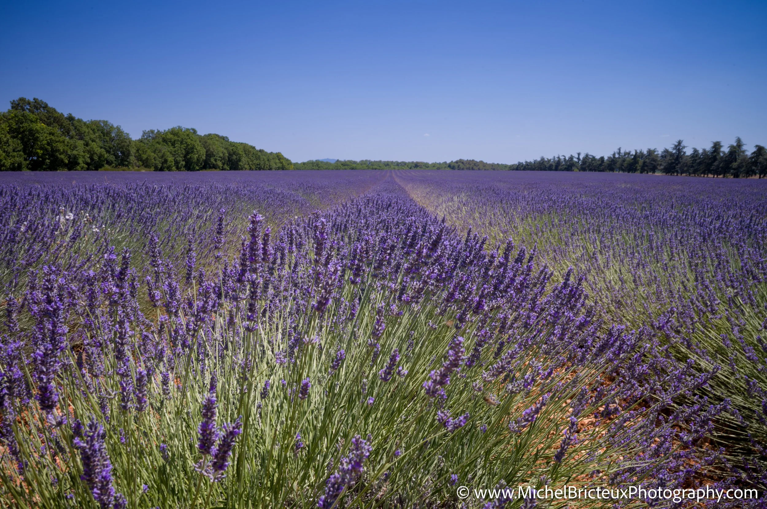 FR-Provence 06-2026 1003598 LowRes.jpg