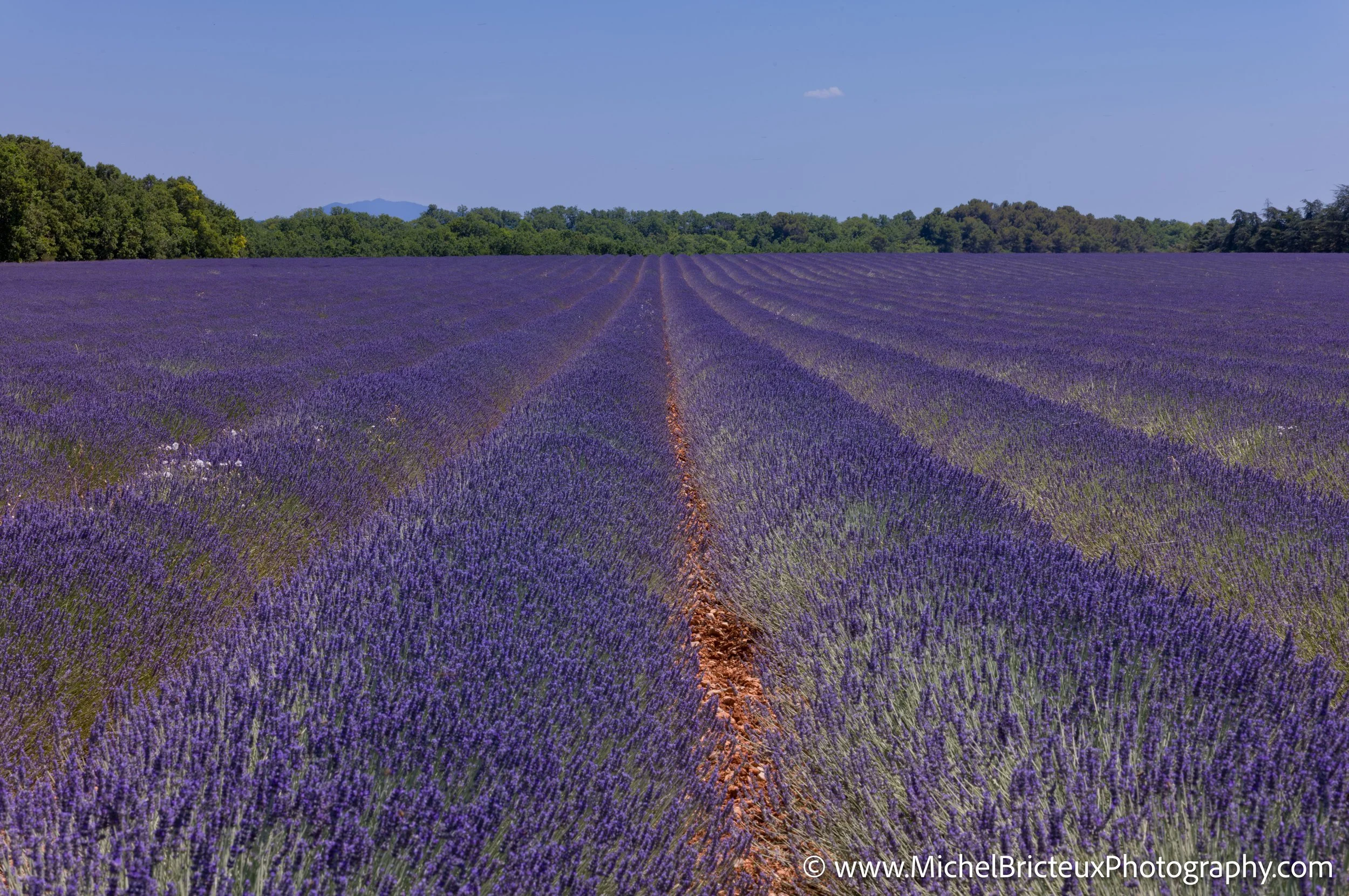 FR-Provence 06-2026 1003589 LowRes.jpg