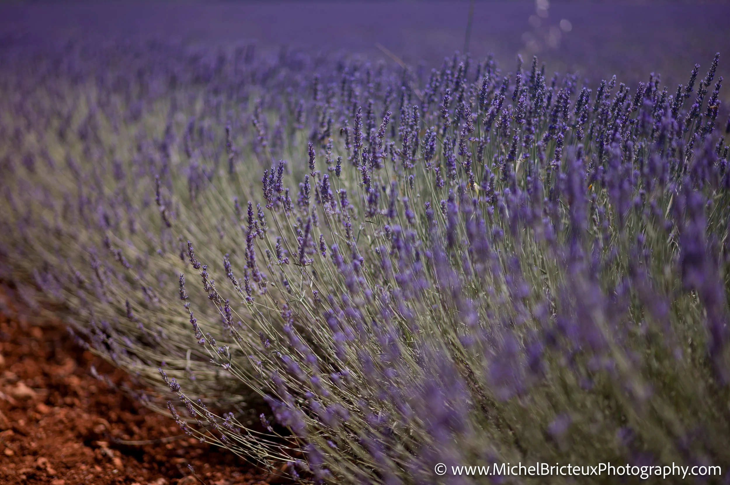 FR-Provence 06-2026 1003626 LowRes.jpg