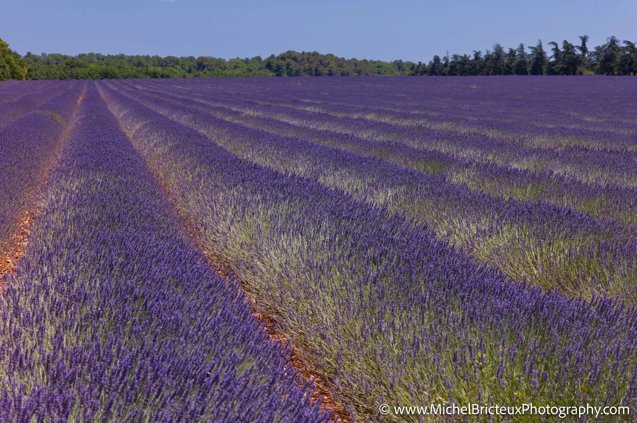 FR-Provence 06-2026 1003587 LowRes.jpg