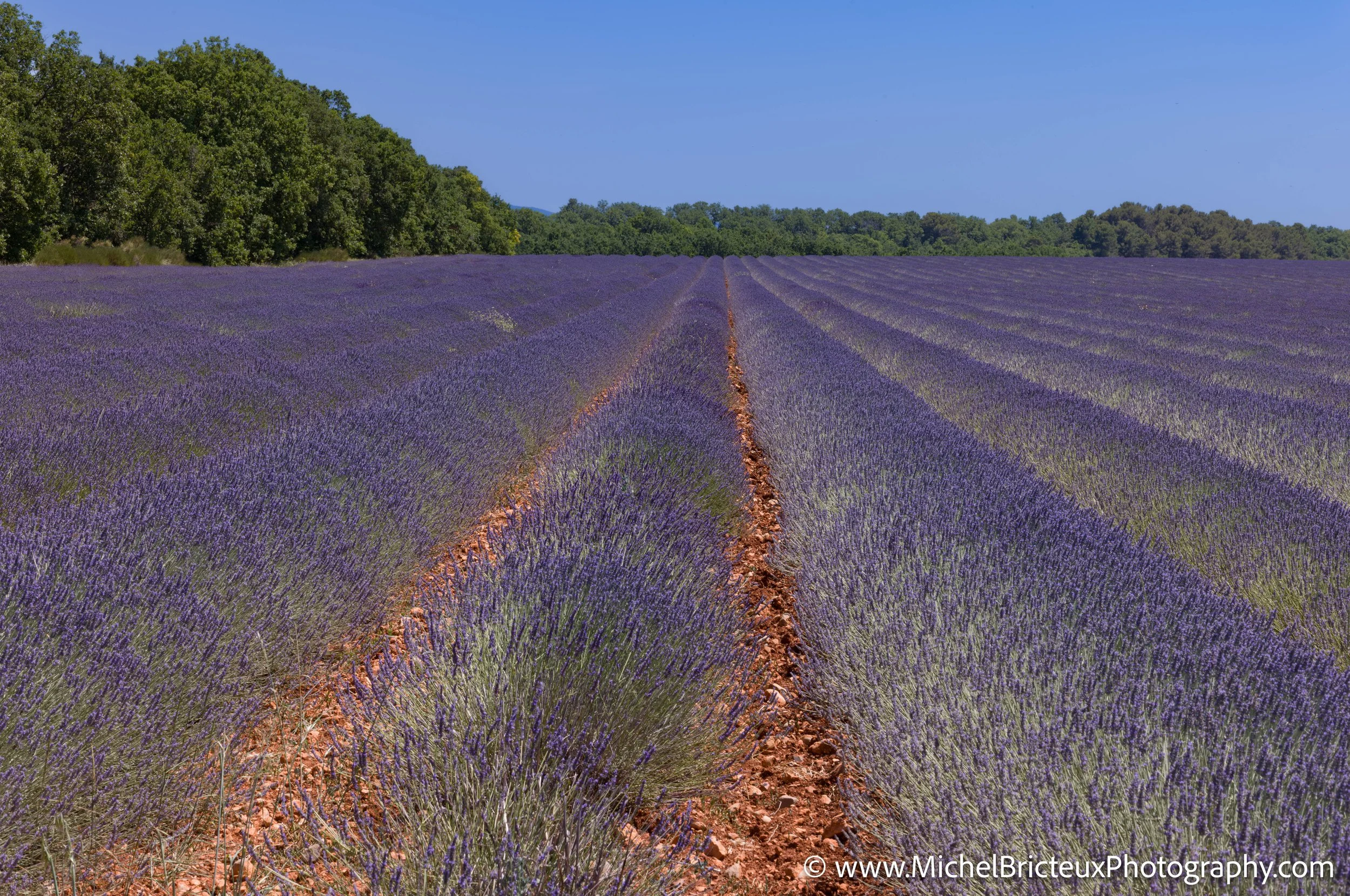 FR-Provence 06-2026 1003631 LowRes.jpg