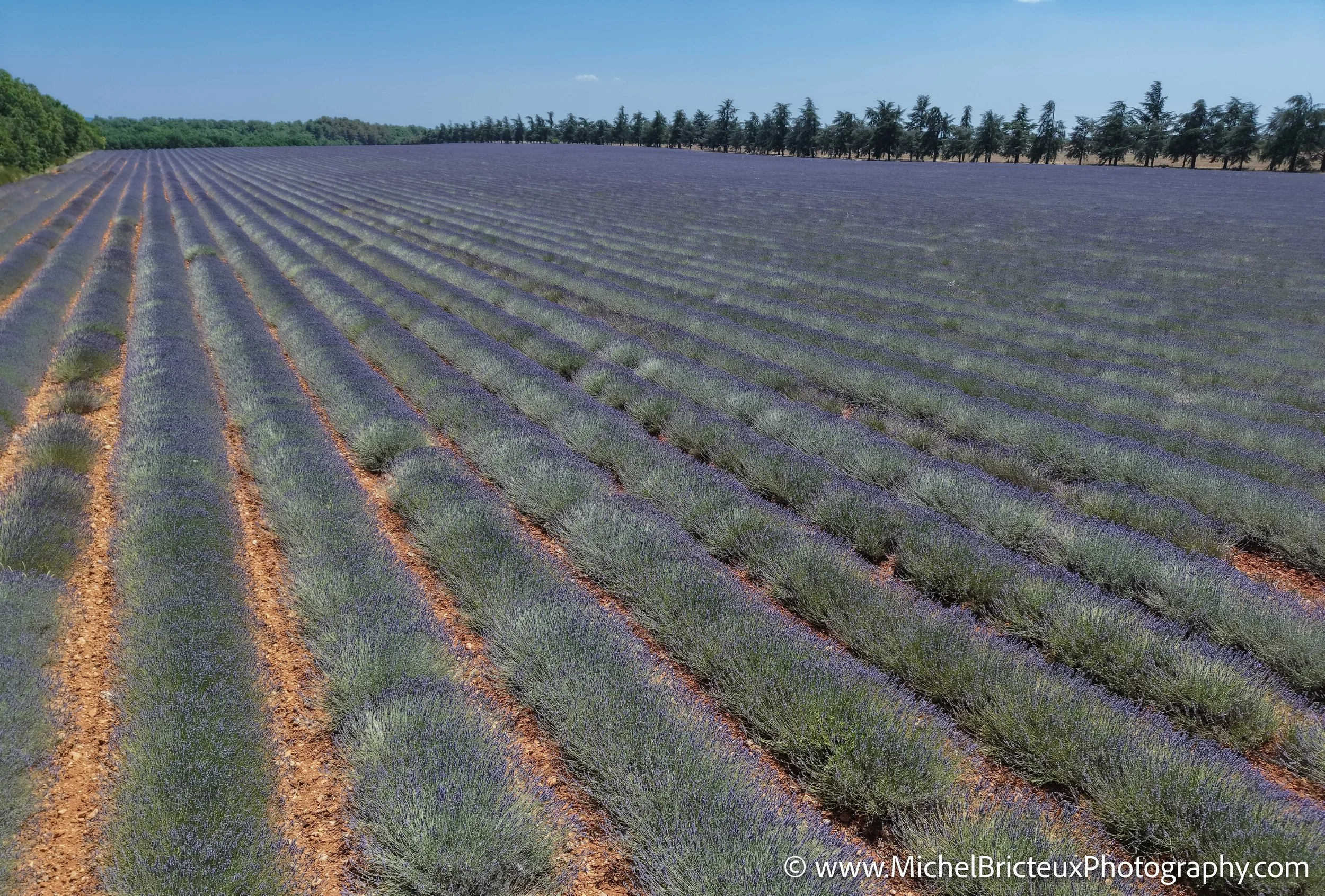 FR-Provence 06-2026 -10 LowRes-2.jpg