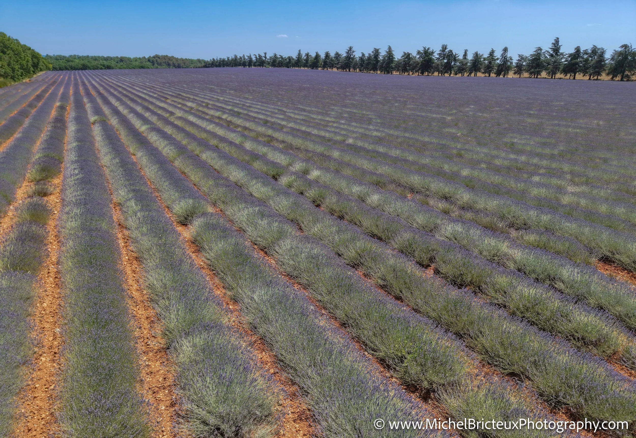 FR-Provence 06-2026 -21 LowRes.jpg