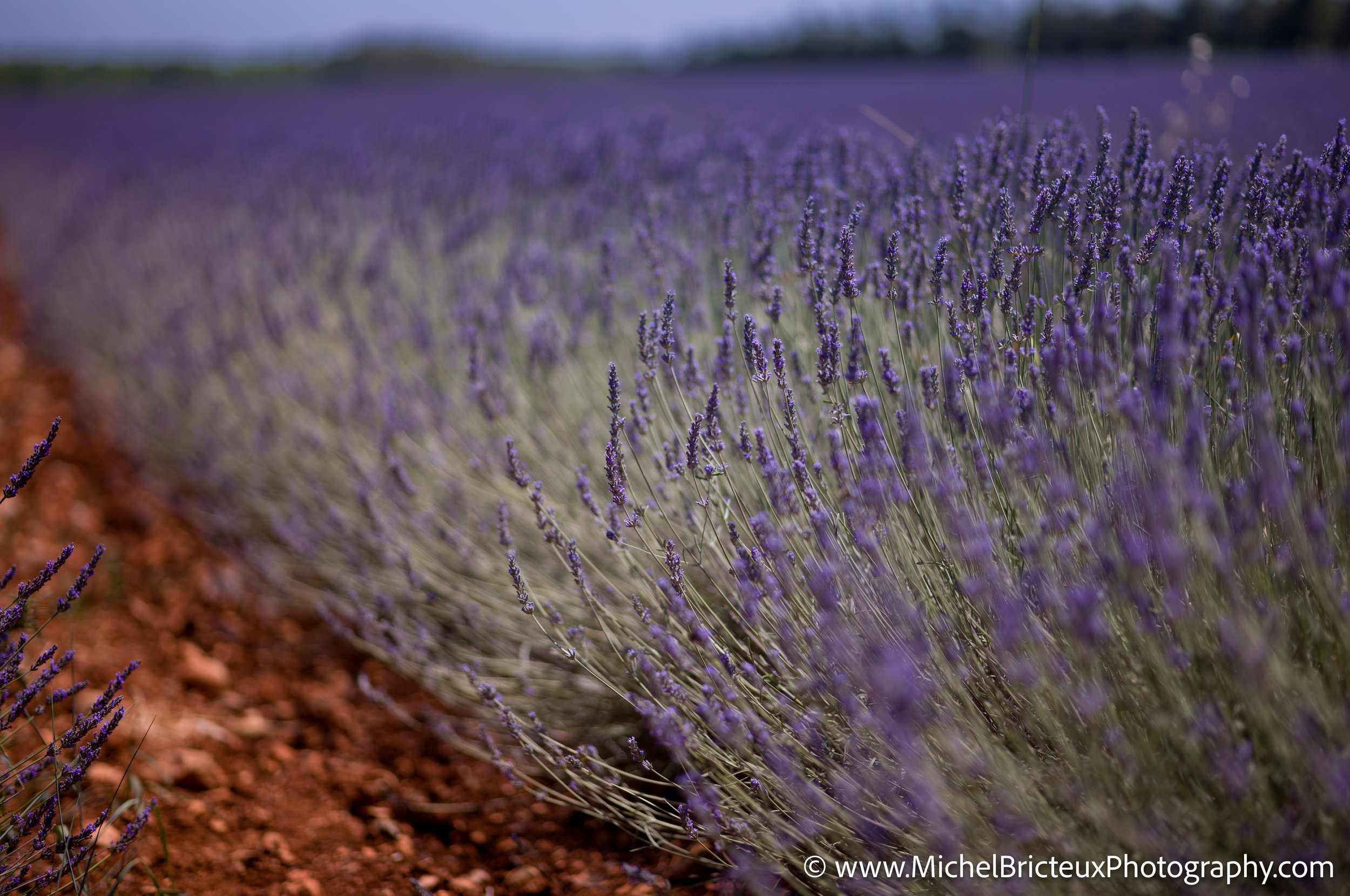 FR-Provence 06-2026 1003627 LowRes.jpg