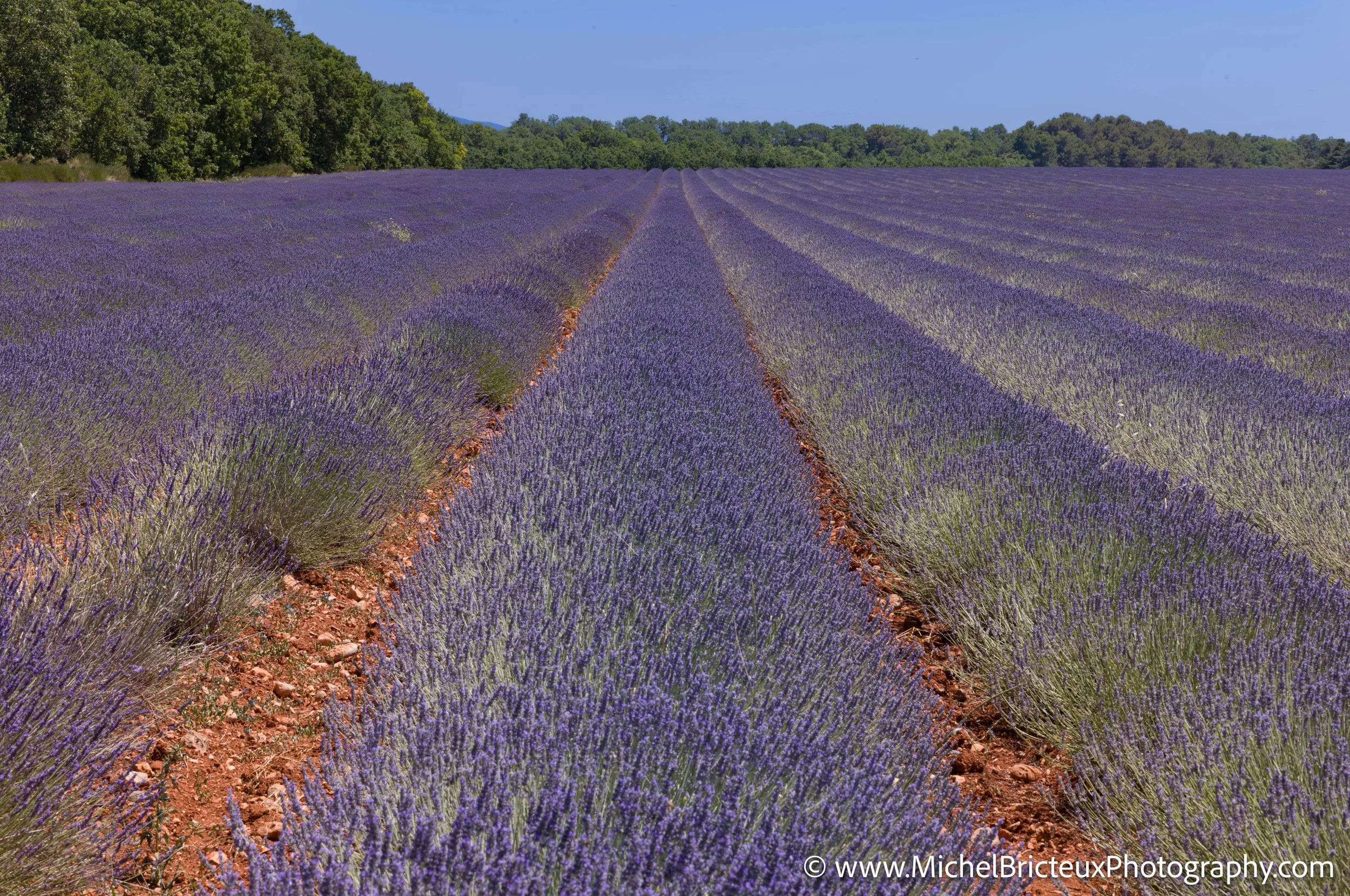 FR-Provence 06-2026 1003623 LowRes.jpg