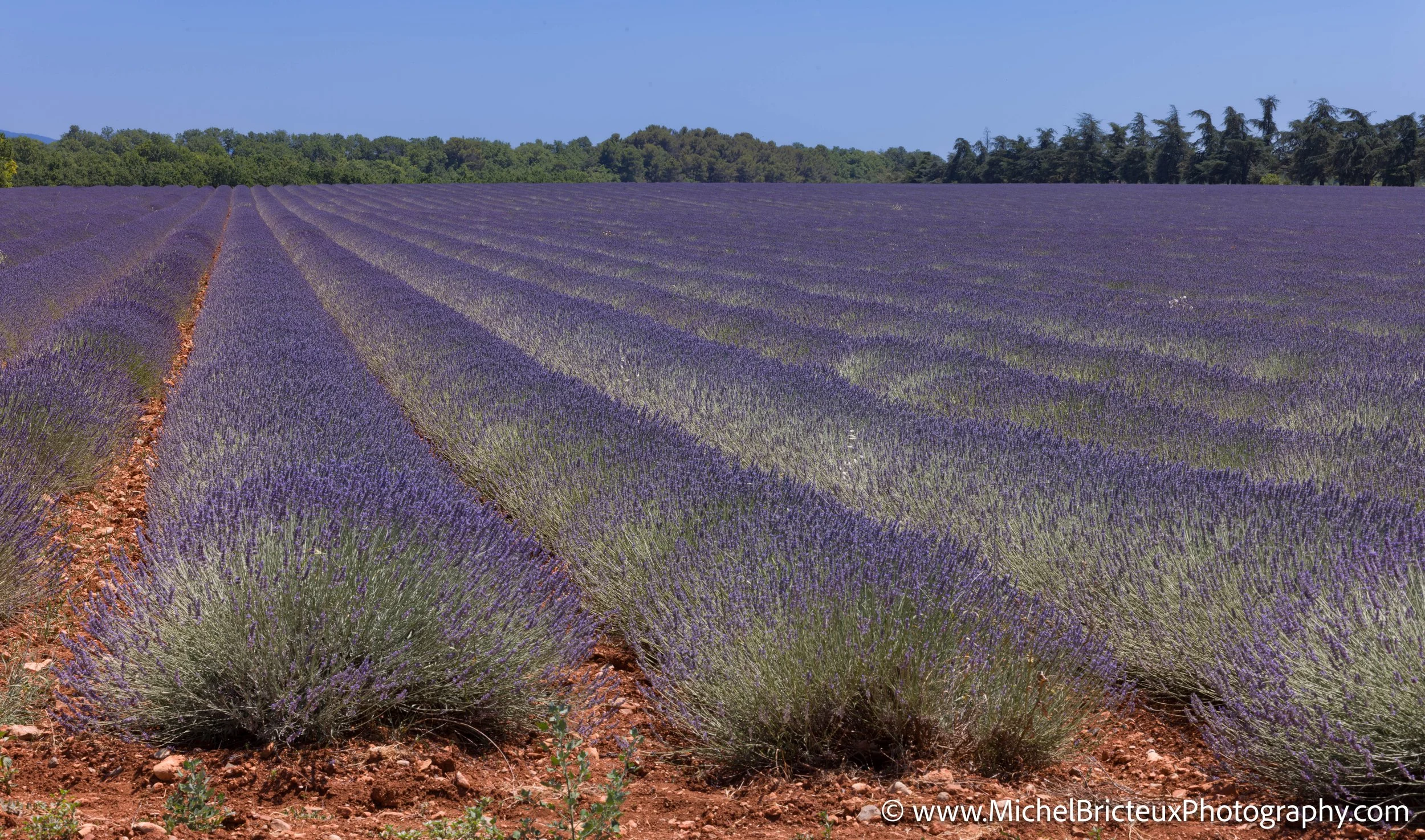 FR-Provence 06-2026 1003621 LowRes.jpg