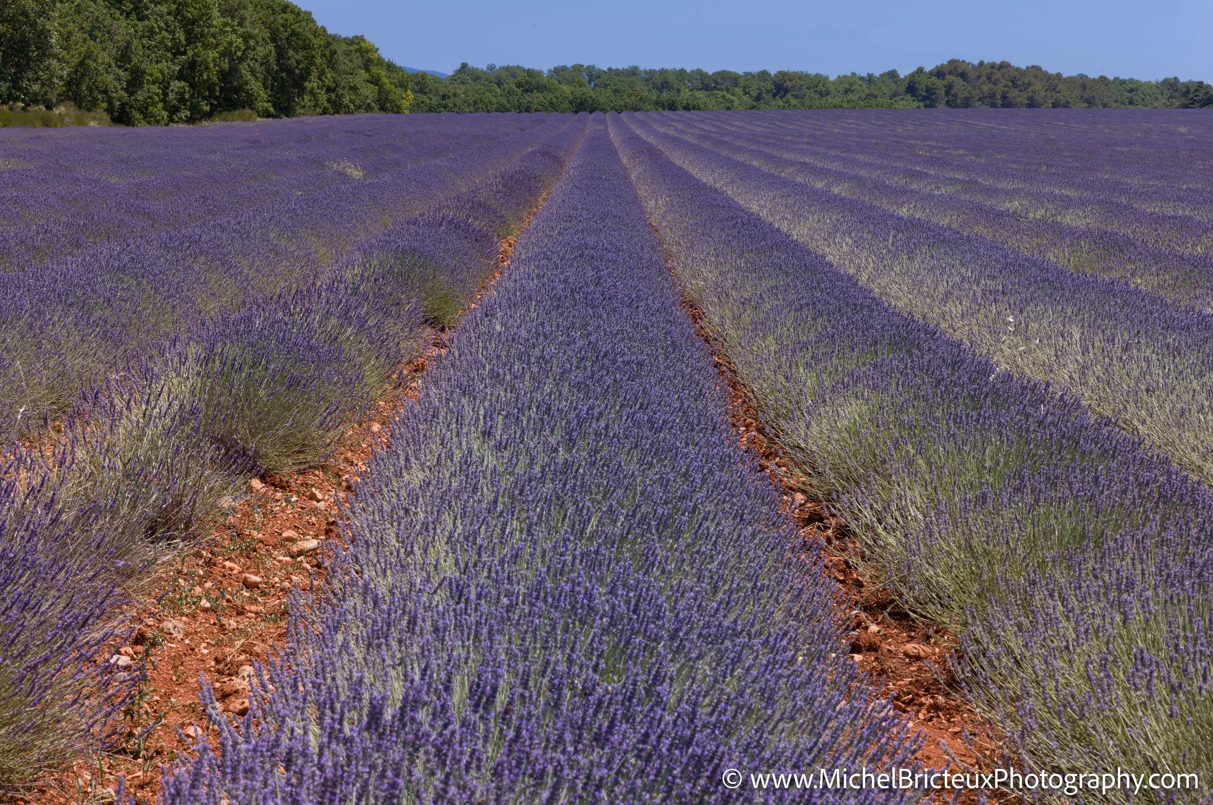 FR-Provence 06-2026 1003622 LowRes.jpg