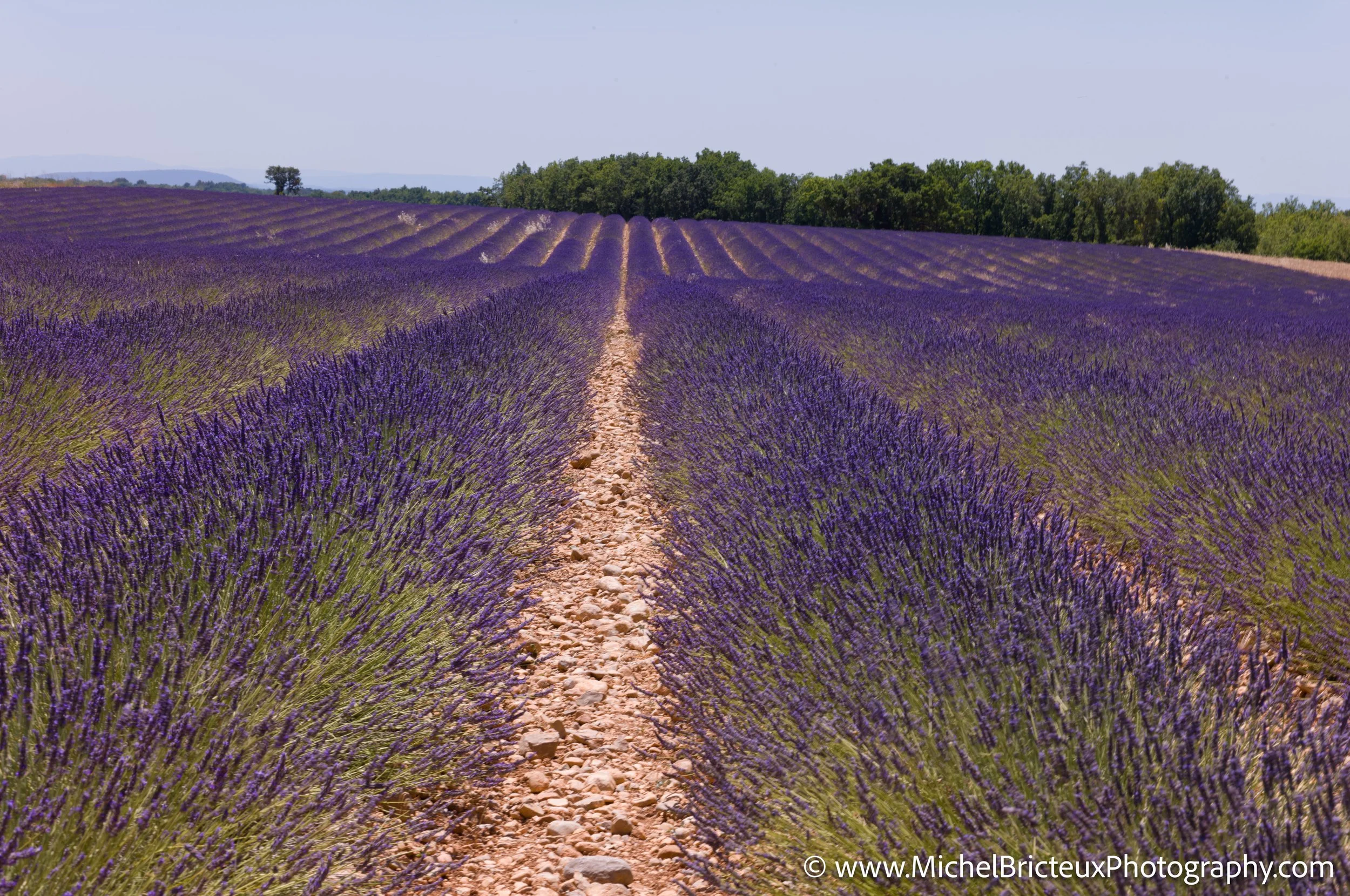 FR-Provence 06-2026 1003580 LowRes.jpg