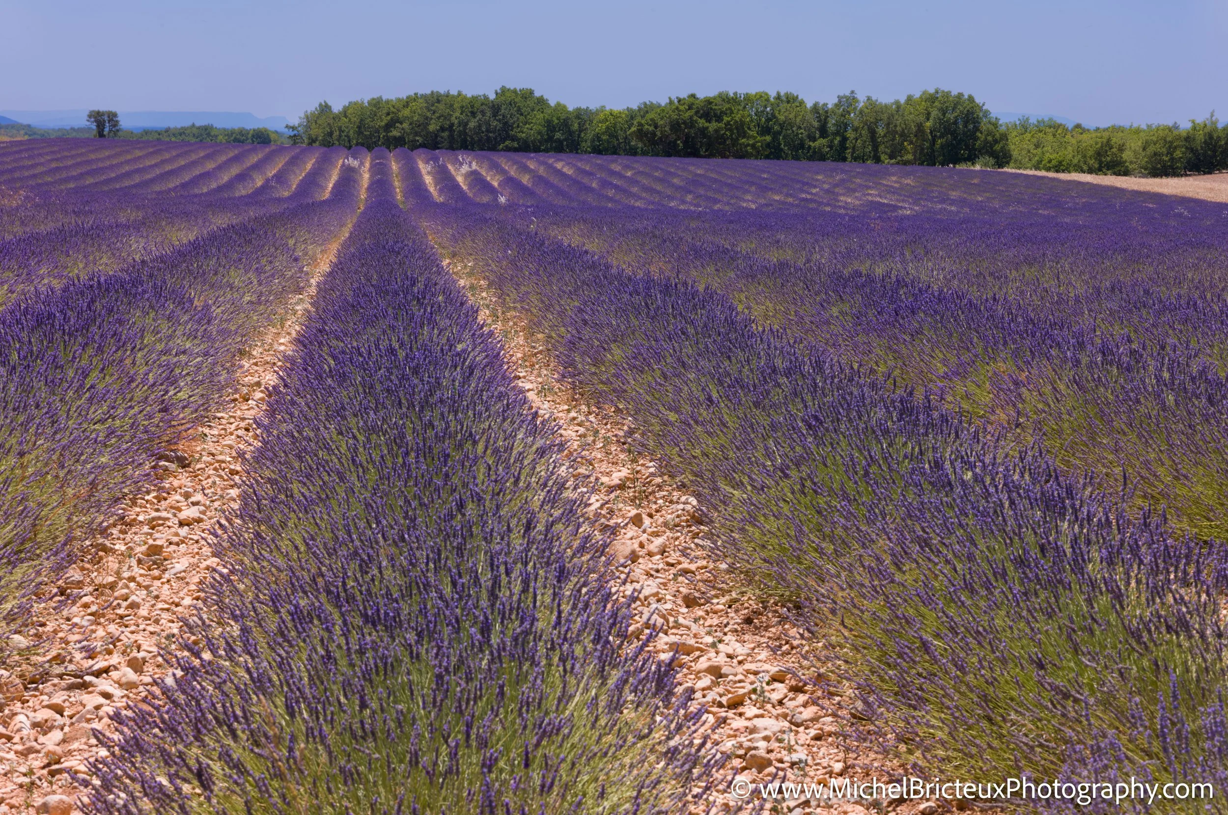 FR-Provence 06-2026 1003574 LowRes.jpg