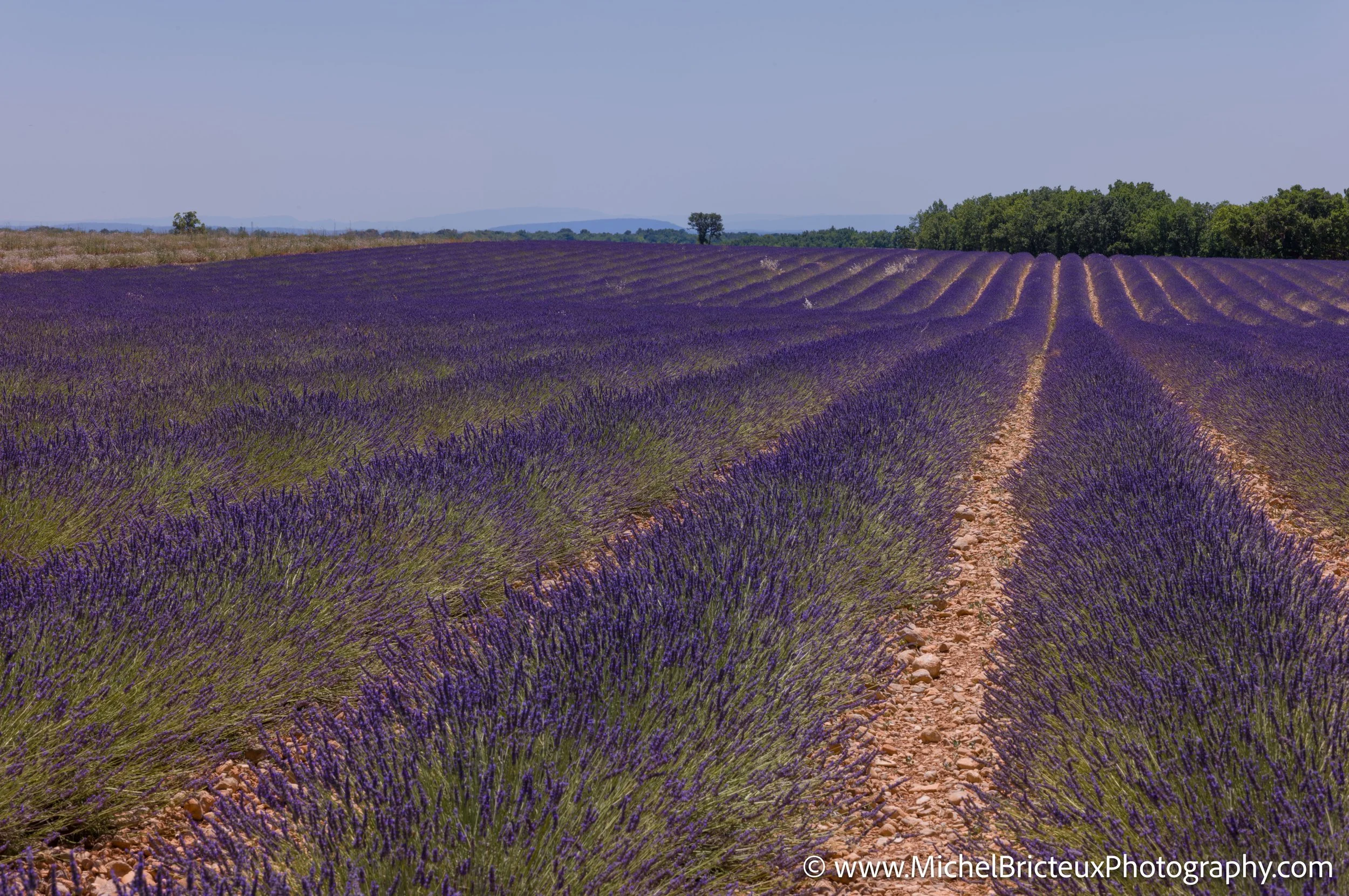 FR-Provence 06-2026 1003570 LowRes.jpg
