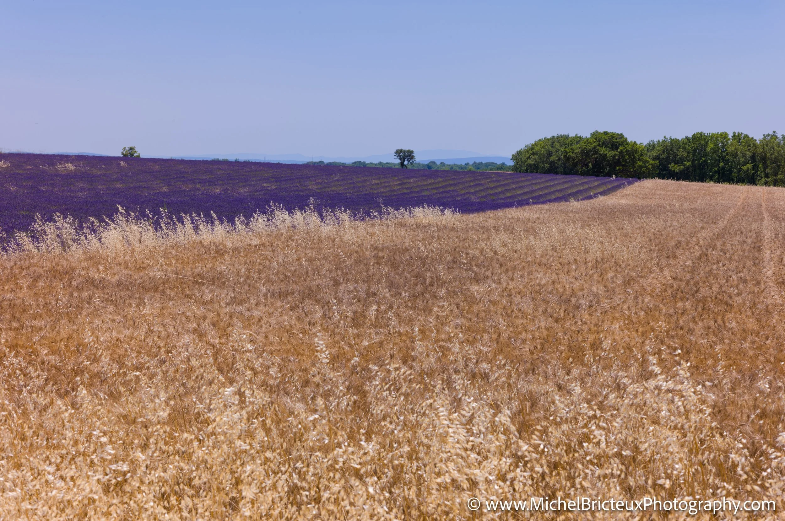 FR-Provence 06-2026 1003583 LowRes.jpg