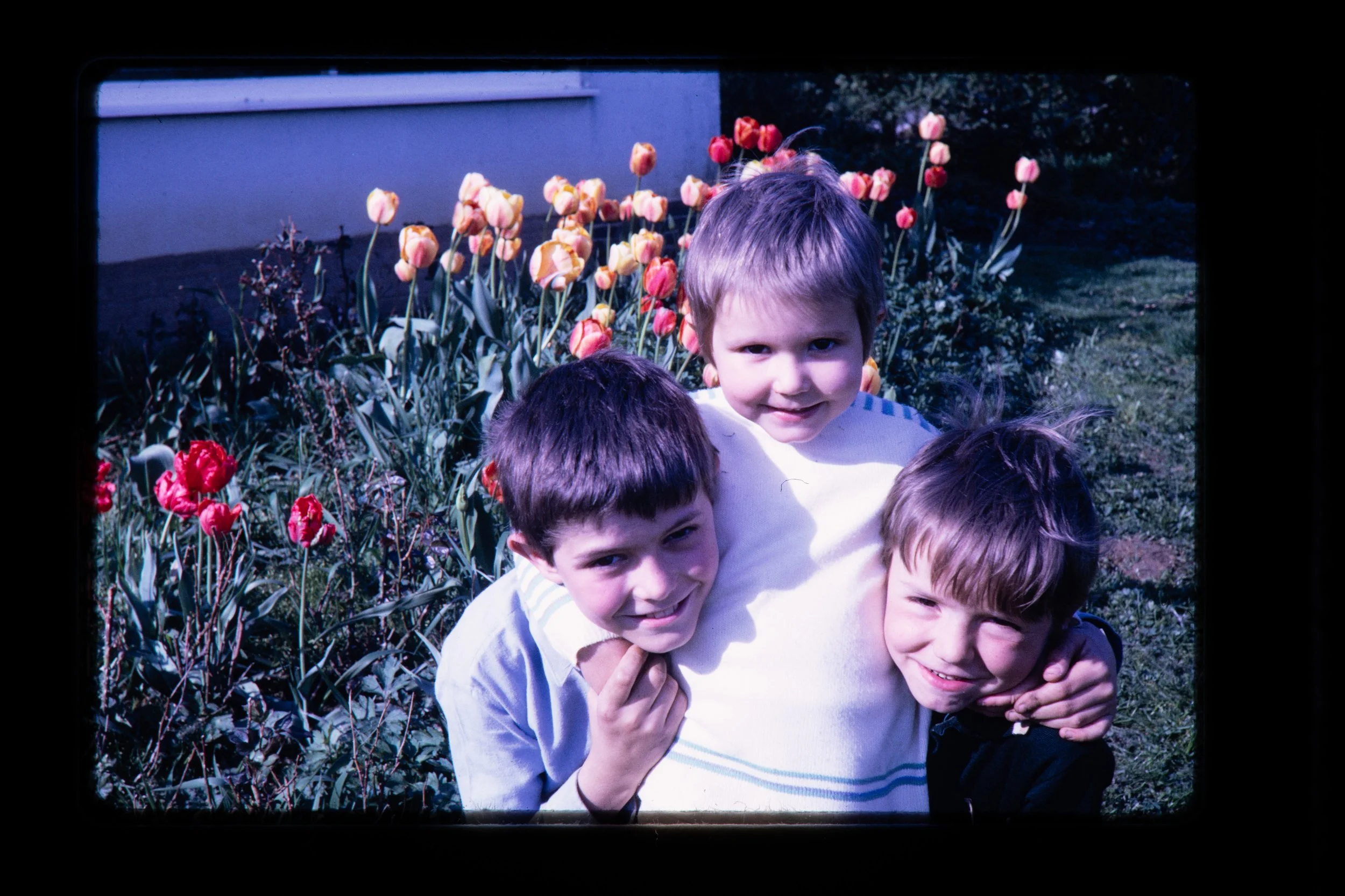 FAM-Archive BRICTEUX - Dreve Pittoresque 60-65 3123 LowRes.jpg