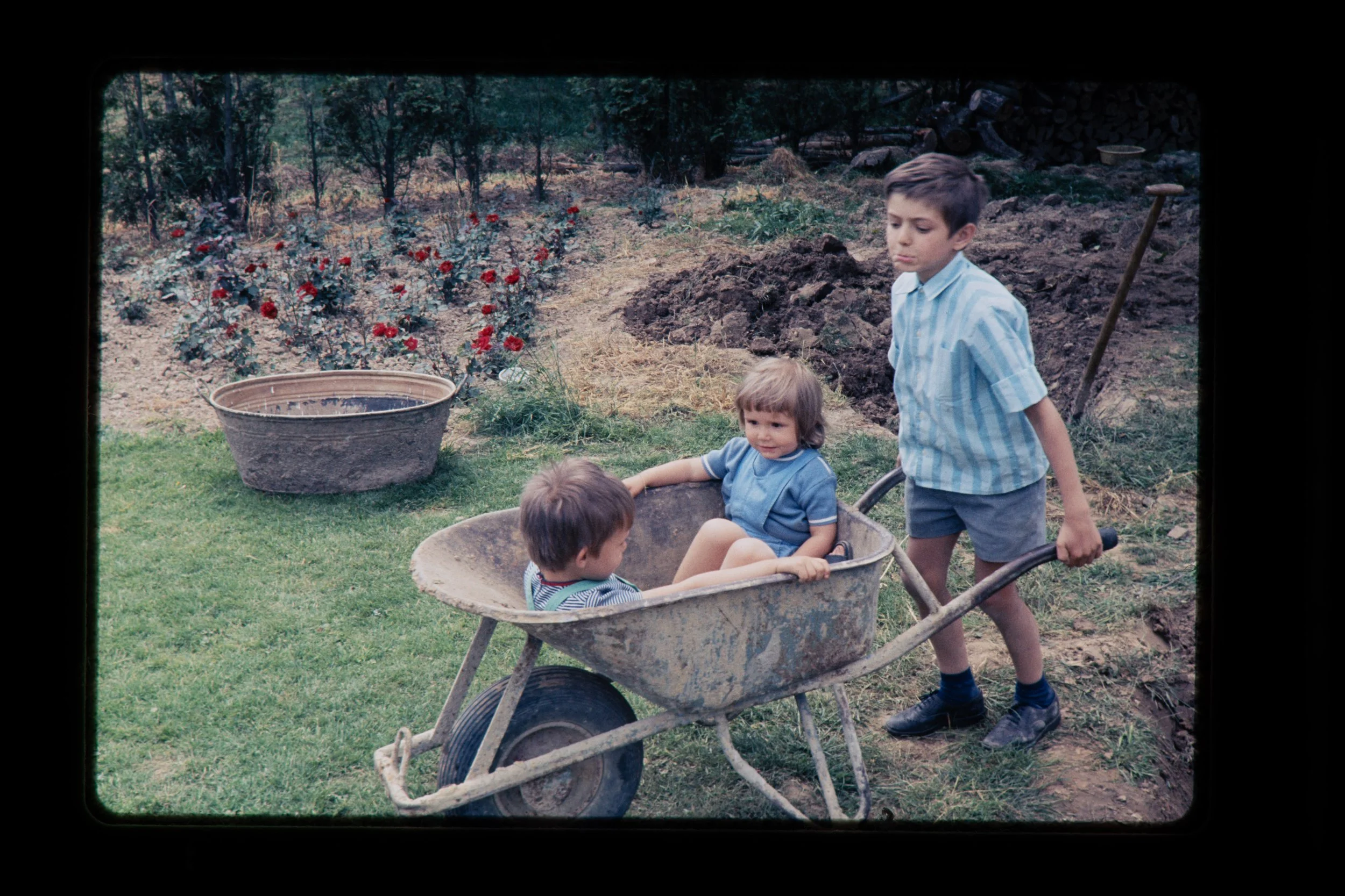 FAM-Archive BRICTEUX - Dreve Pittoresque 60-65 3134 LowRes.jpg