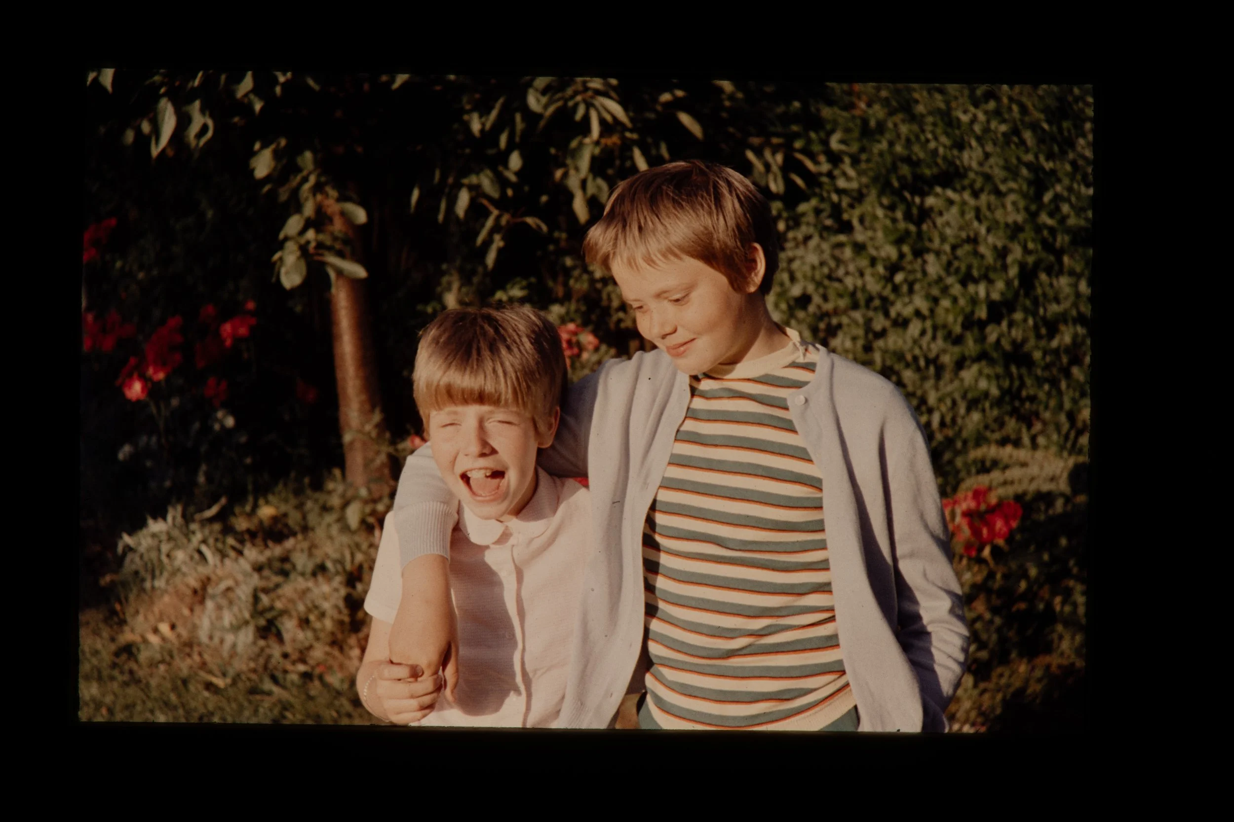 FAM-Archive BRICTEUX - Dreve Pittoresque 60-65 3145 LowRes.jpg