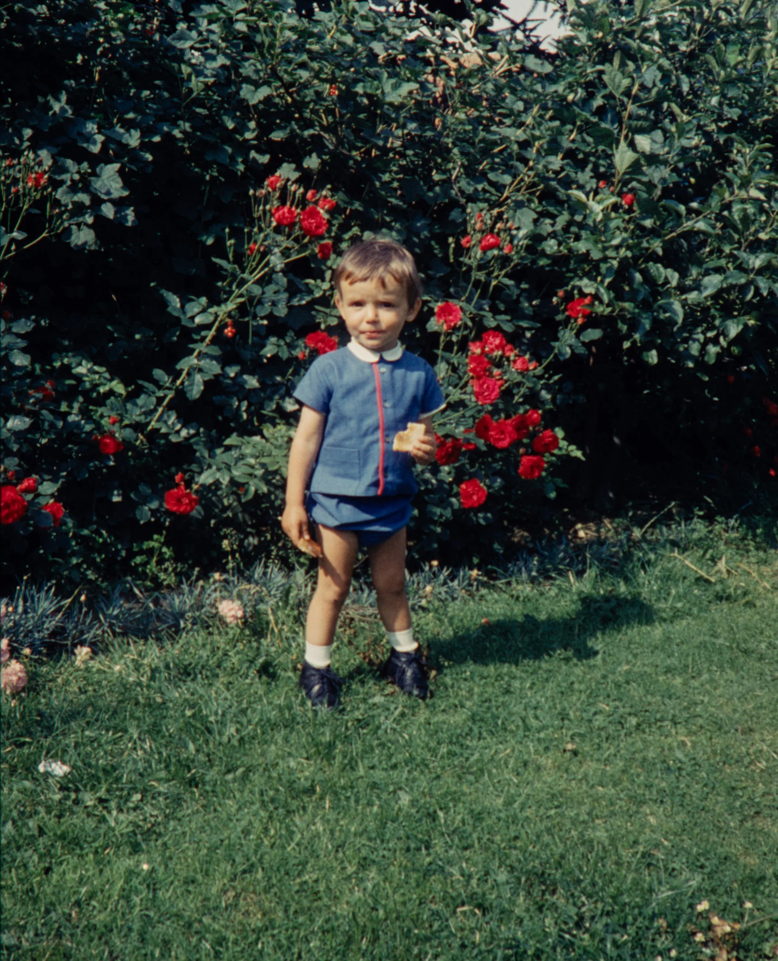 FAM-Archive BRICTEUX - Dreve Pittoresque 60-65 3148 LowRes.jpg